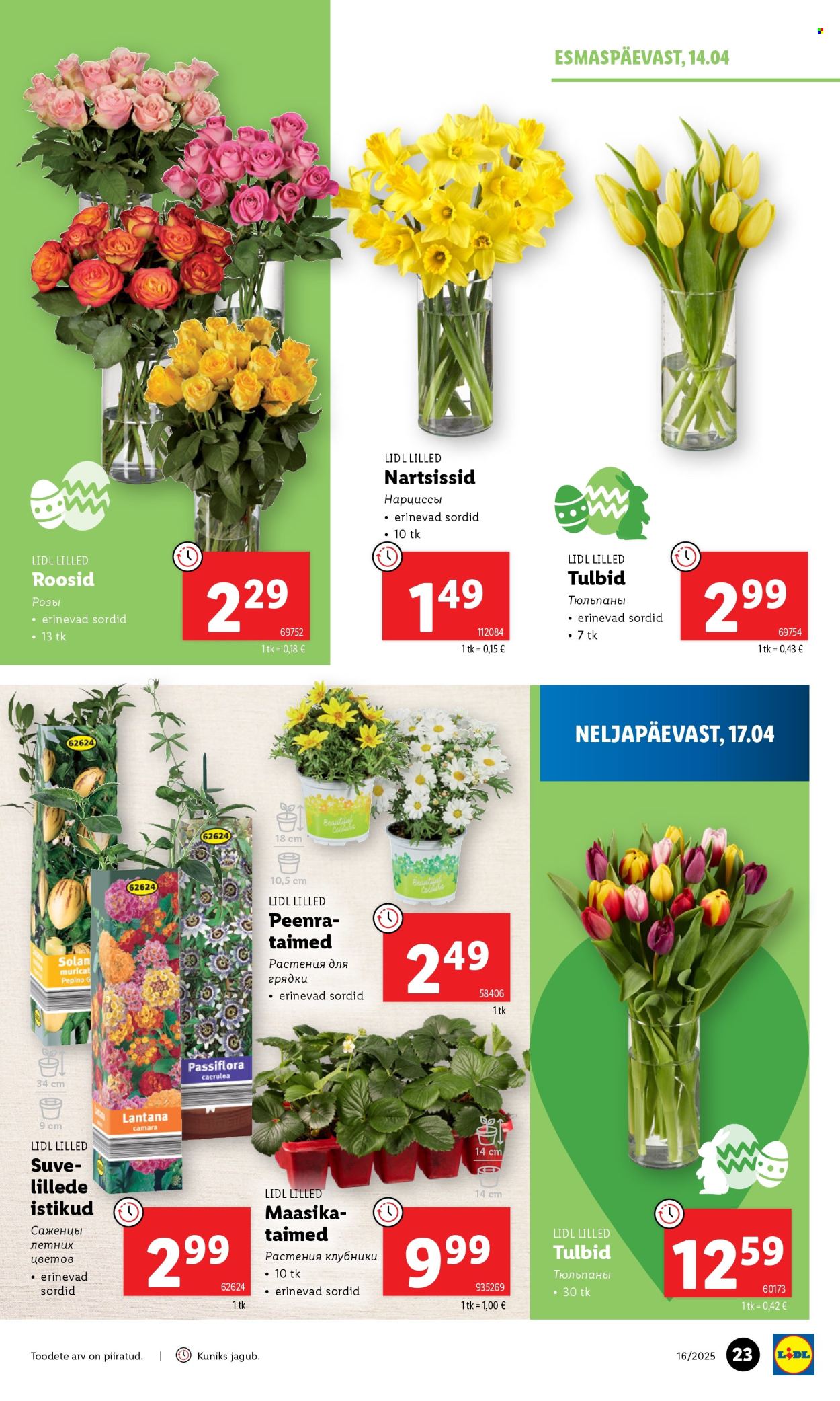 lidl - Lidl kliendileht - kliendileht (14.04 - 20.04.2025) - page: 23 lidl - Lidl kliendileht - kliendileht (14.04 - 20.04.2025) - page: 23