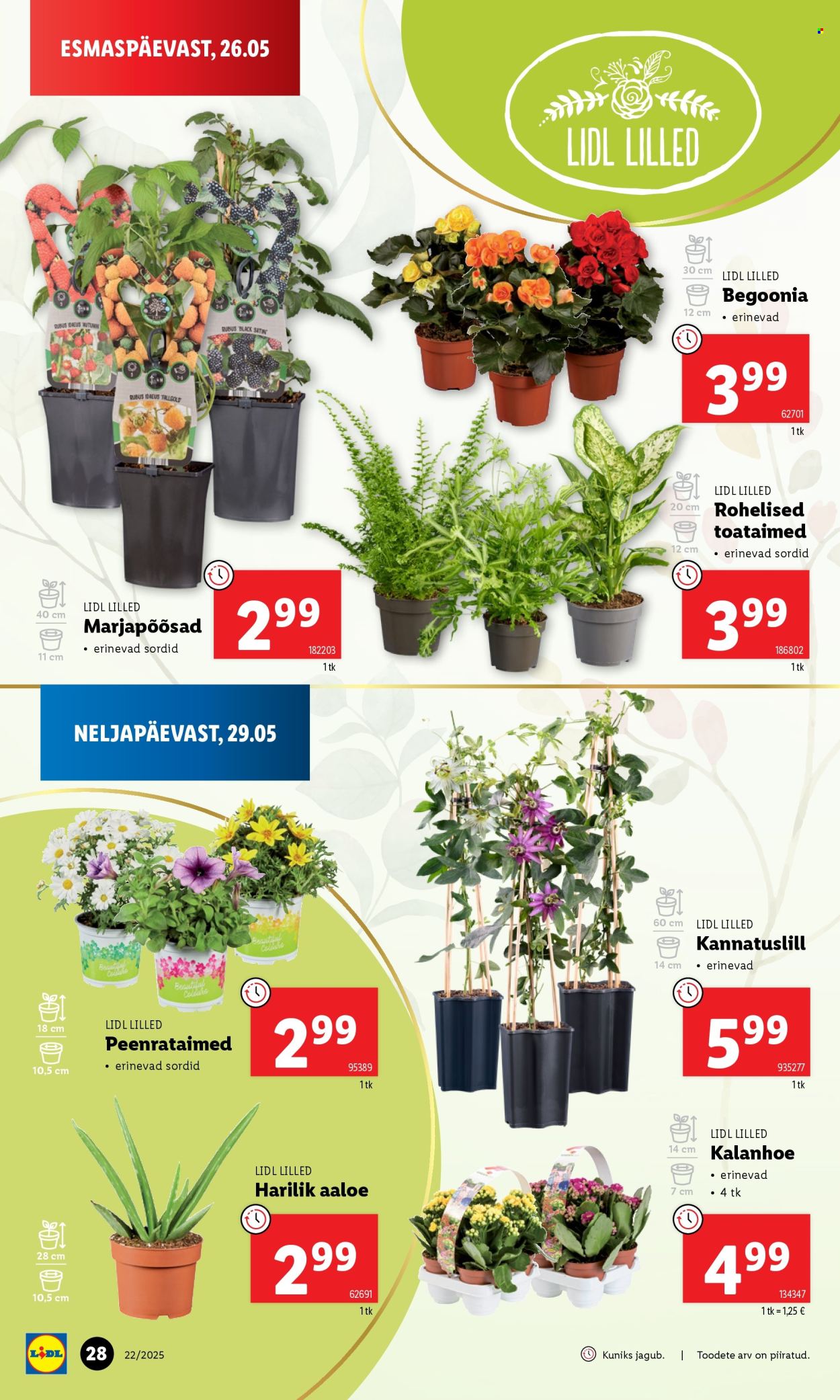 lidl - Lidl kliendileht - Kliendileht (26.05 - 1.06.2025) - page: 28 lidl - Lidl kliendileht - Kliendileht (26.05 - 1.06.2025) - page: 28