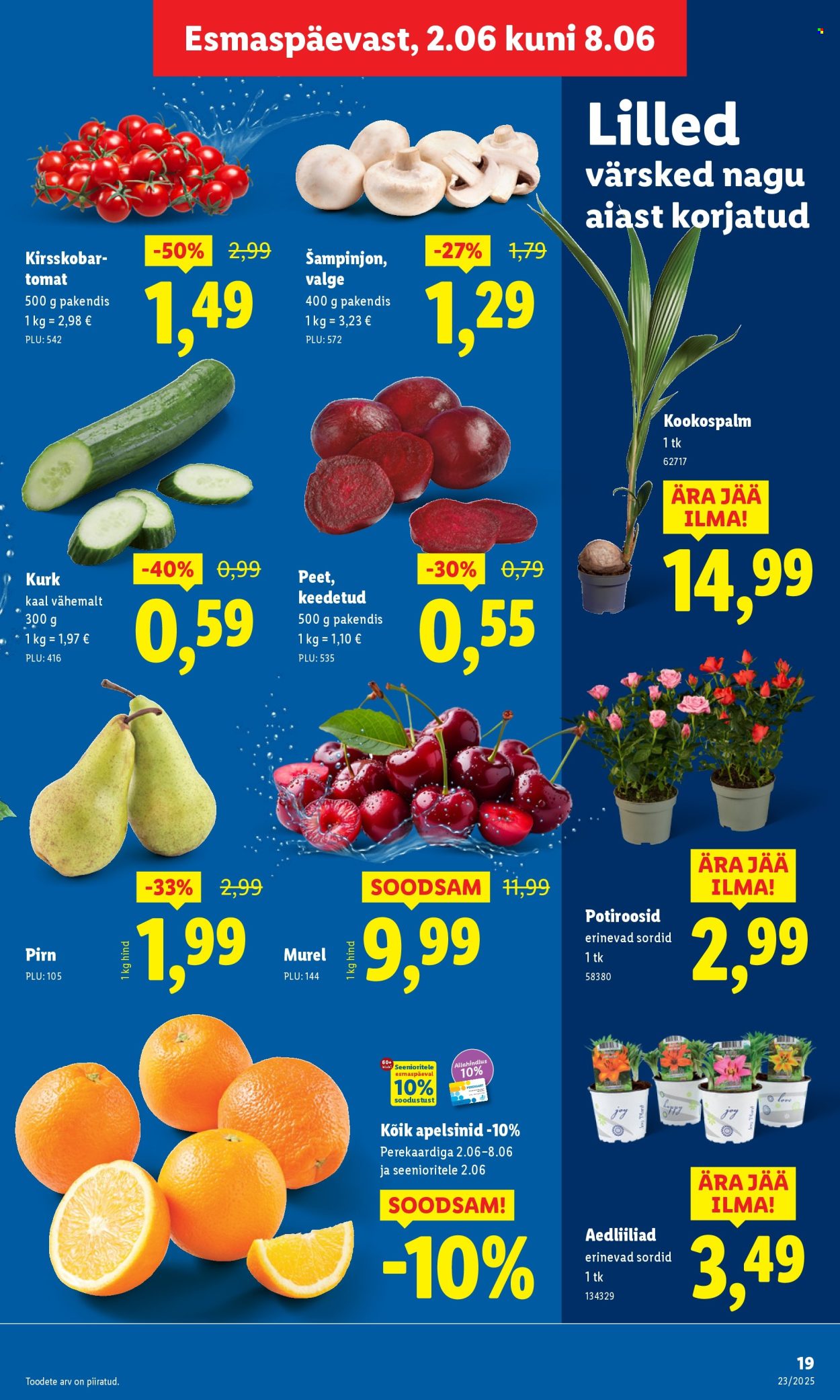 lidl - Lidl kliendileht - Kliendileht (5.06 - 8.06.2025) - page: 19 lidl - Lidl kliendileht - Kliendileht (5.06 - 8.06.2025) - page: 19