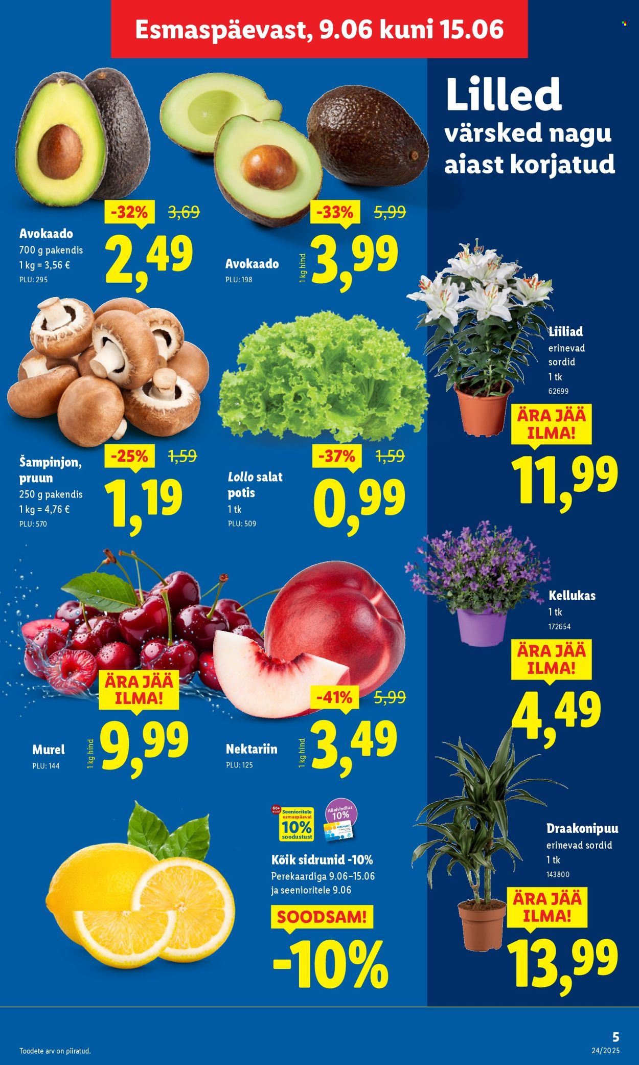 lidl - Lidl kliendileht - Kliendileht (9.06 - 15.06.2025) - page: 5 lidl - Lidl kliendileht - Kliendileht (9.06 - 15.06.2025) - page: 5