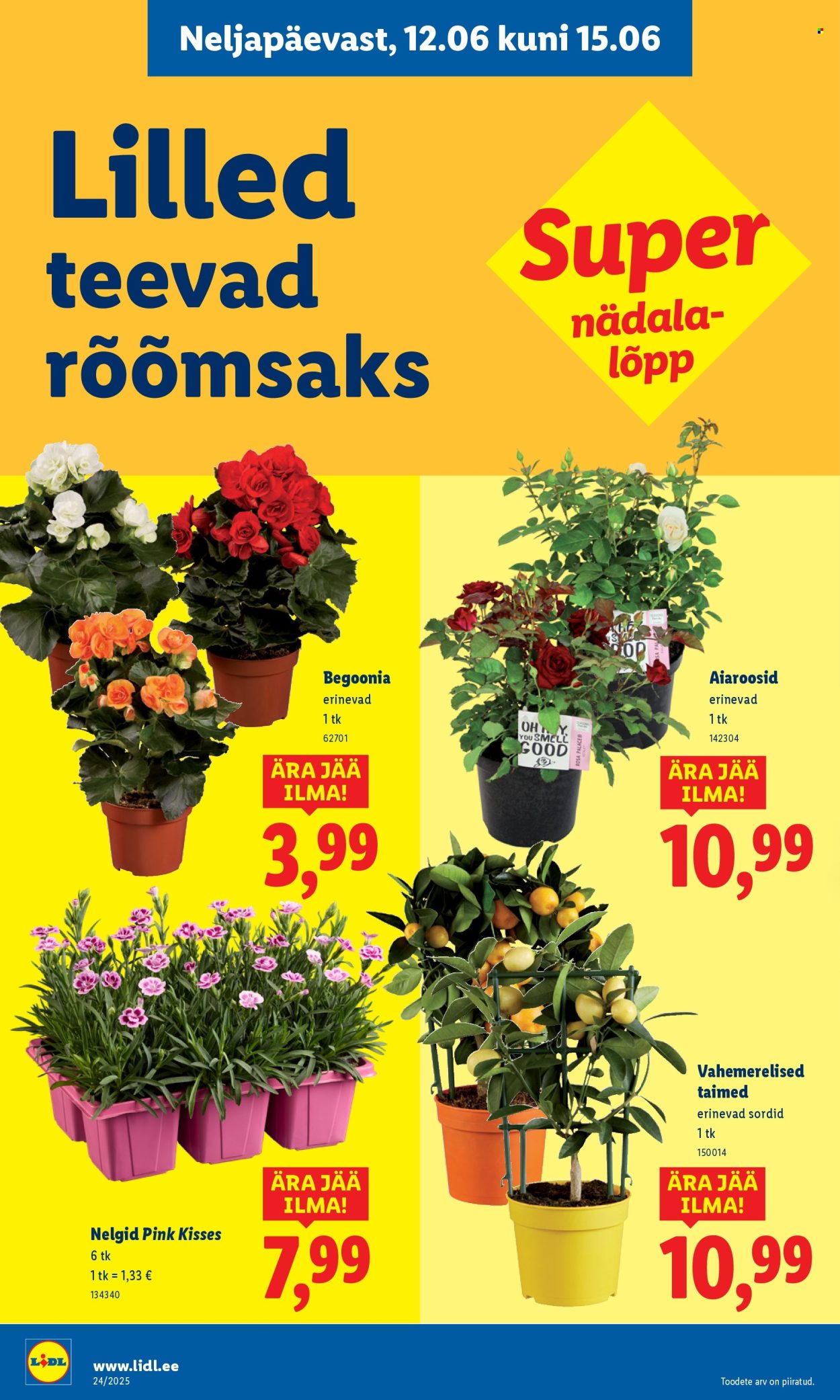 lidl - Lidl kliendileht - Kliendileht (9.06 - 15.06.2025) - page: 56 lidl - Lidl kliendileht - Kliendileht (9.06 - 15.06.2025) - page: 56