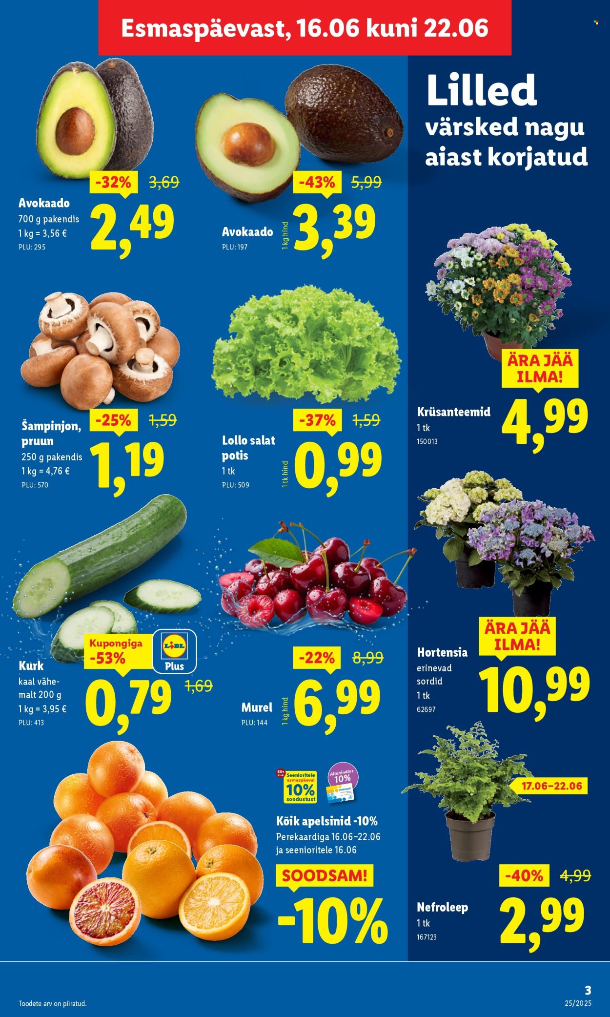 lidl - Lidl kliendileht - Nädalalõpu pakkumised (19.06 - 22.06.2025) - page: 3 lidl - Lidl kliendileht - Nädalalõpu pakkumised (19.06 - 22.06.2025) - page: 3
