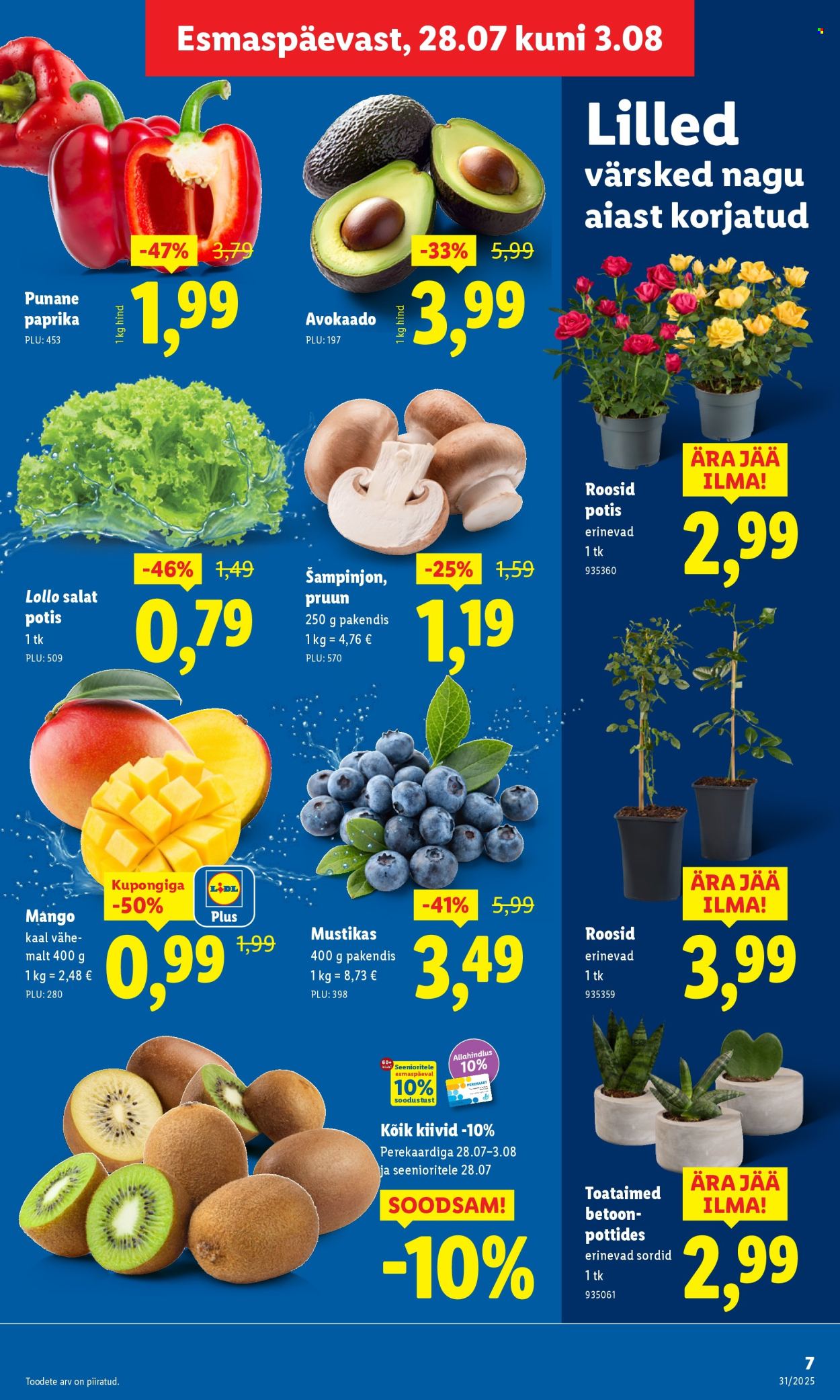 lidl - Lidl kliendileht - Kliendileht (28.07 - 3.08.2025) - page: 7 lidl - Lidl kliendileht - Kliendileht (28.07 - 3.08.2025) - page: 7