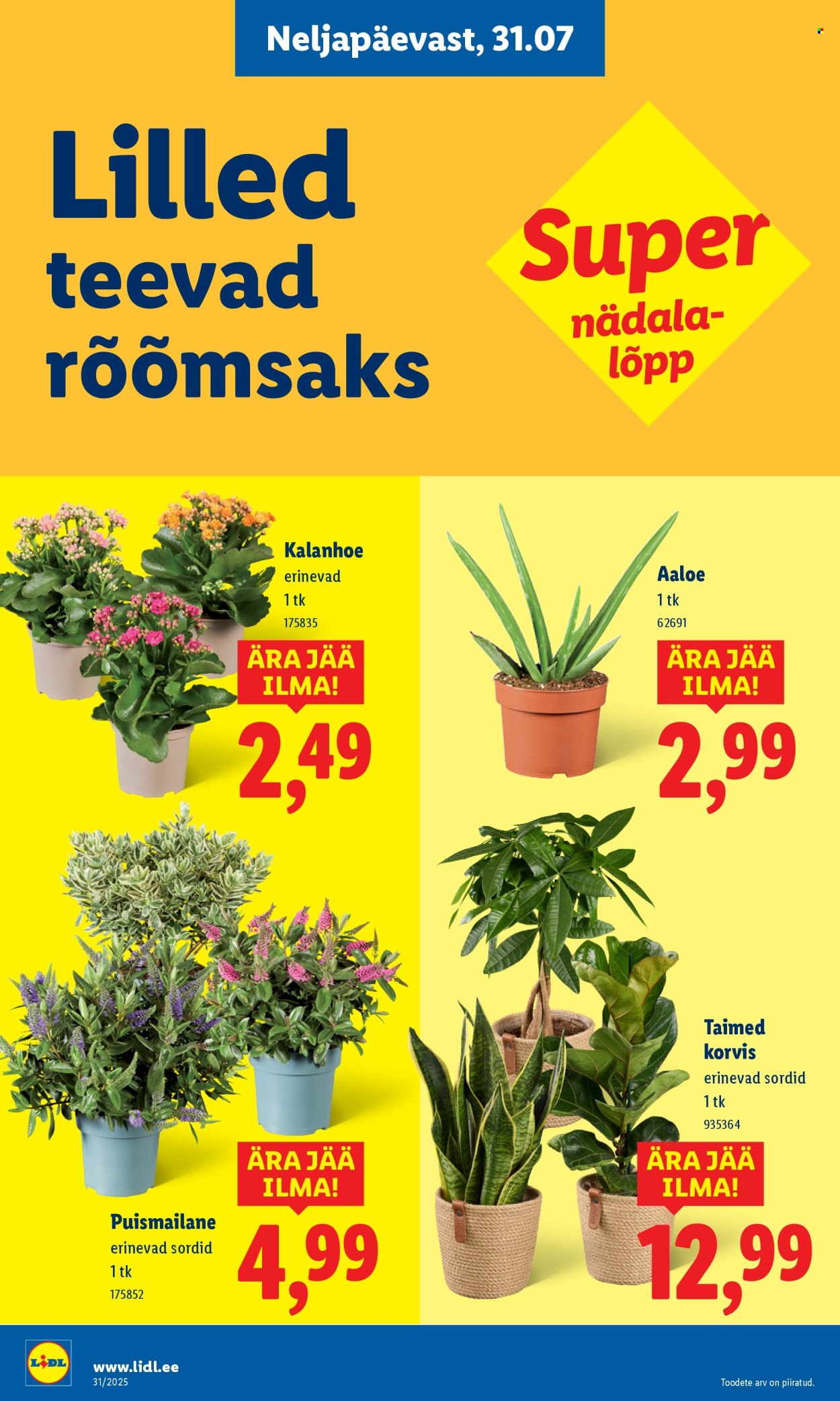 lidl - Lidl kliendileht - Kliendileht (28.07 - 3.08.2025) - page: 58 lidl - Lidl kliendileht - Kliendileht (28.07 - 3.08.2025) - page: 58