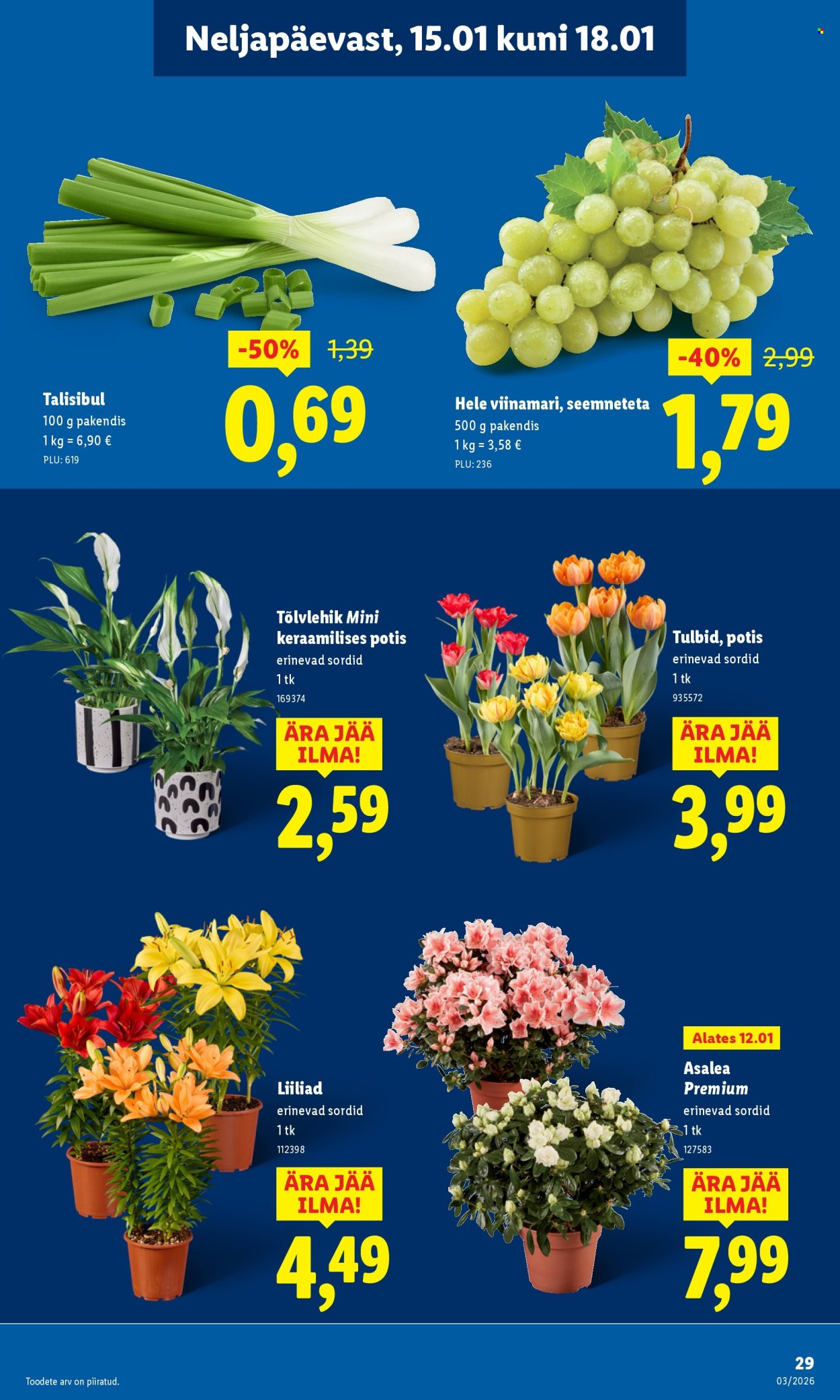 lidl - Lidl kliendileht - Kliendileht (12.01 - 18.01.2026) - page: 29