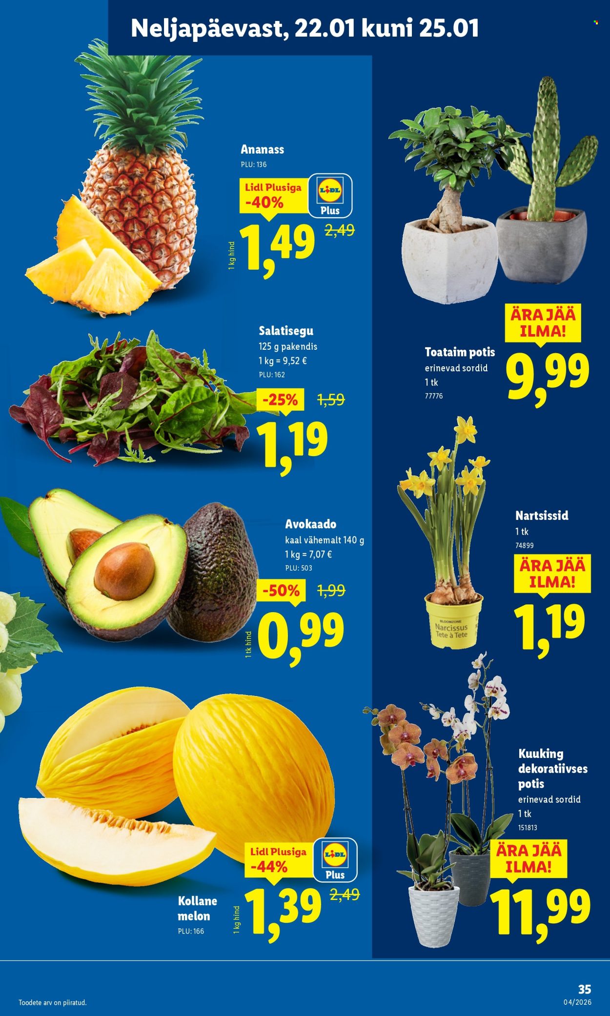 lidl - Lidl kliendileht - Kliendileht (19.01 - 25.01.2026) - page: 35