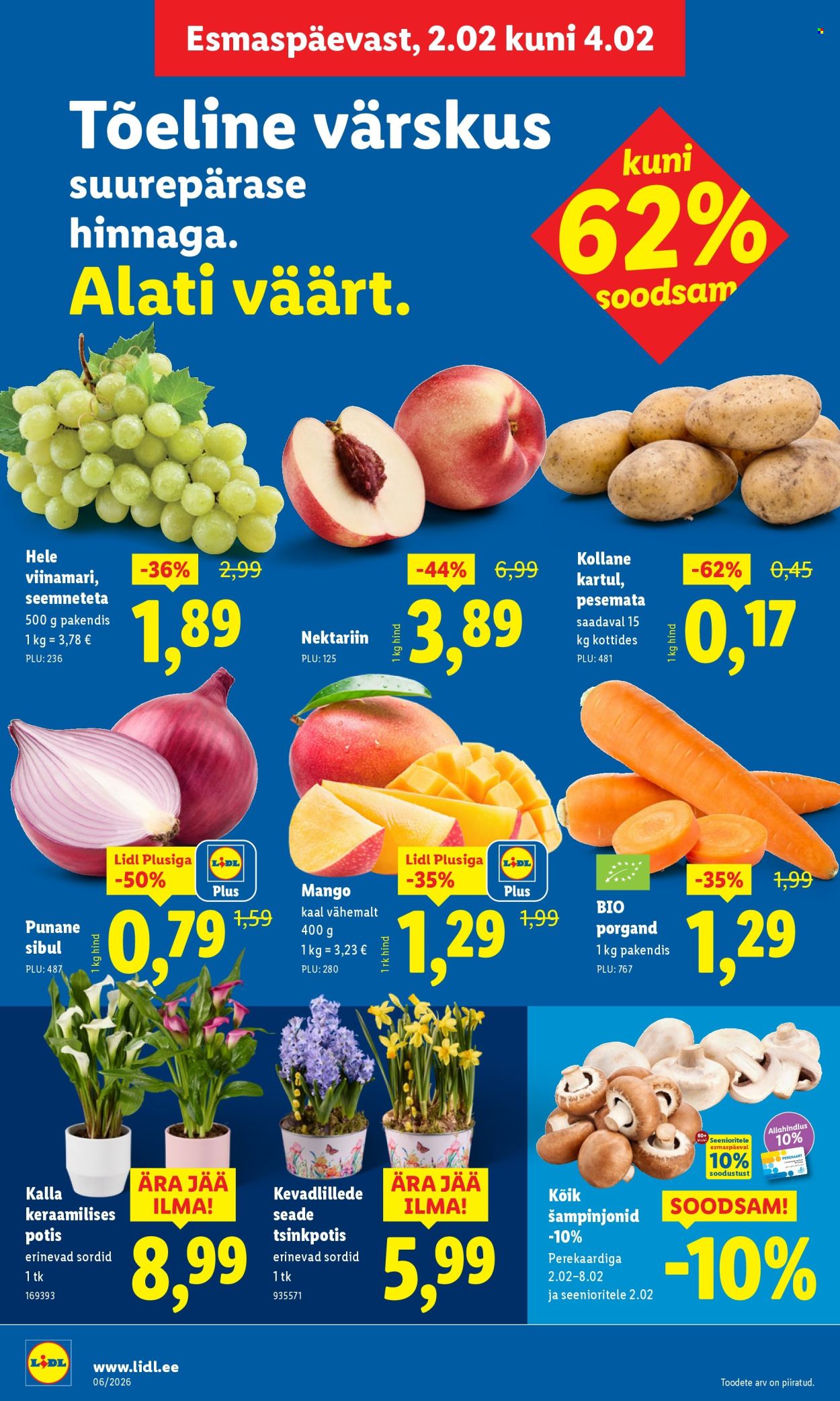 lidl - Lidl kliendileht - Kliendileht (2.02 - 8.02.2026) - page: 4