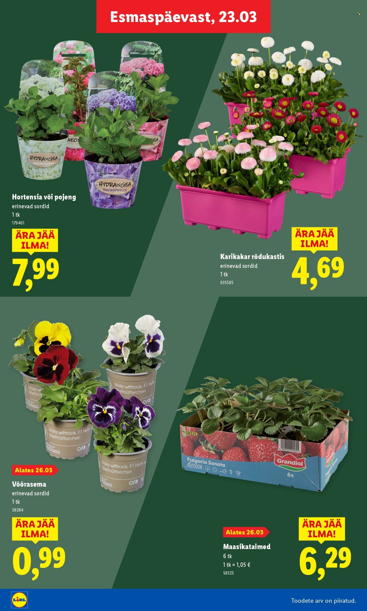 lidl - Lidl kliendileht - Aiakataloog - page: 26