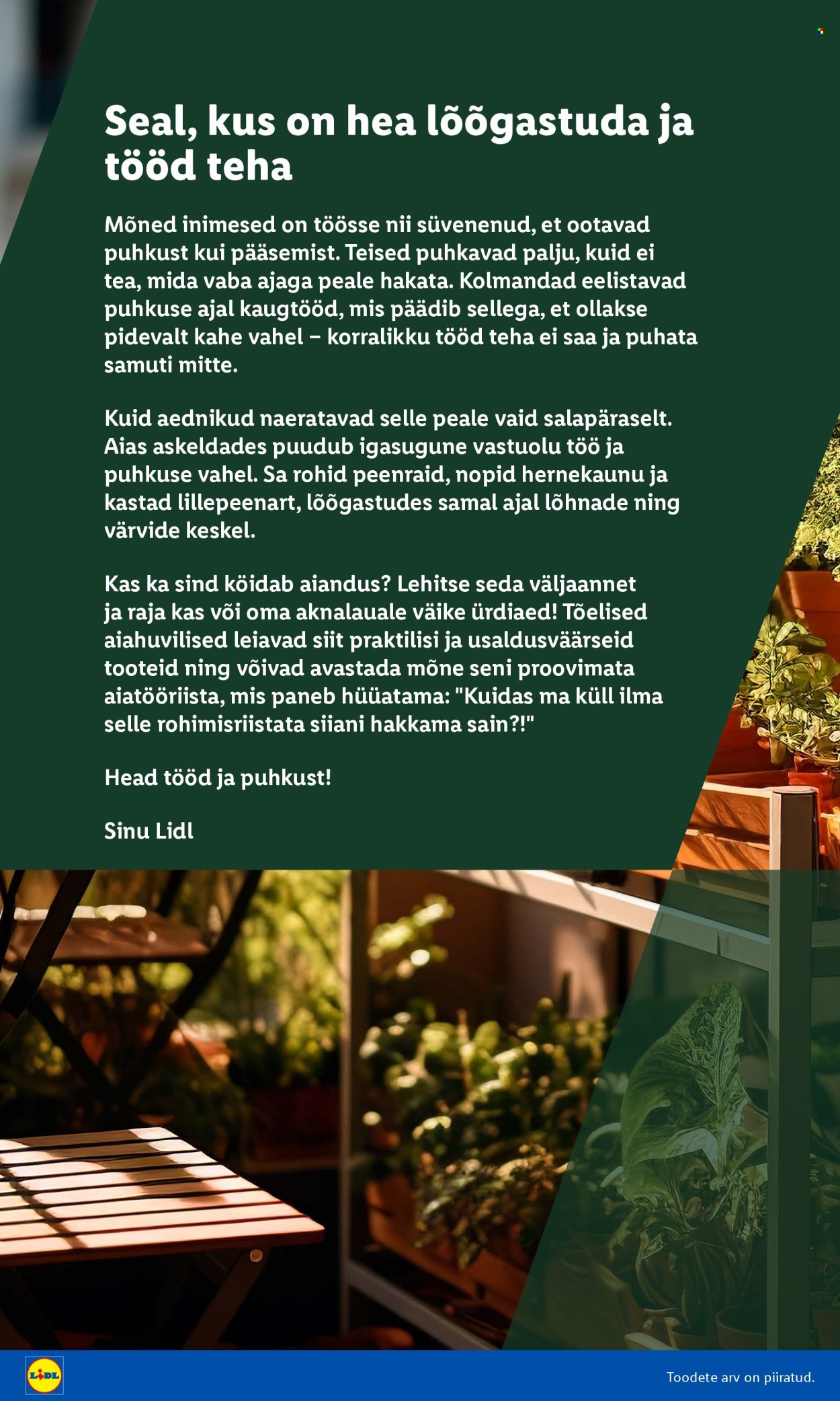 lidl - Lidl kliendileht - Aiakataloog - page: 2