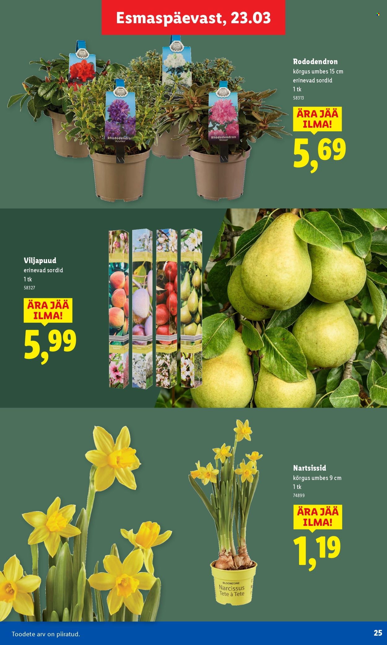 lidl - Lidl kliendileht - Aiakataloog - page: 25