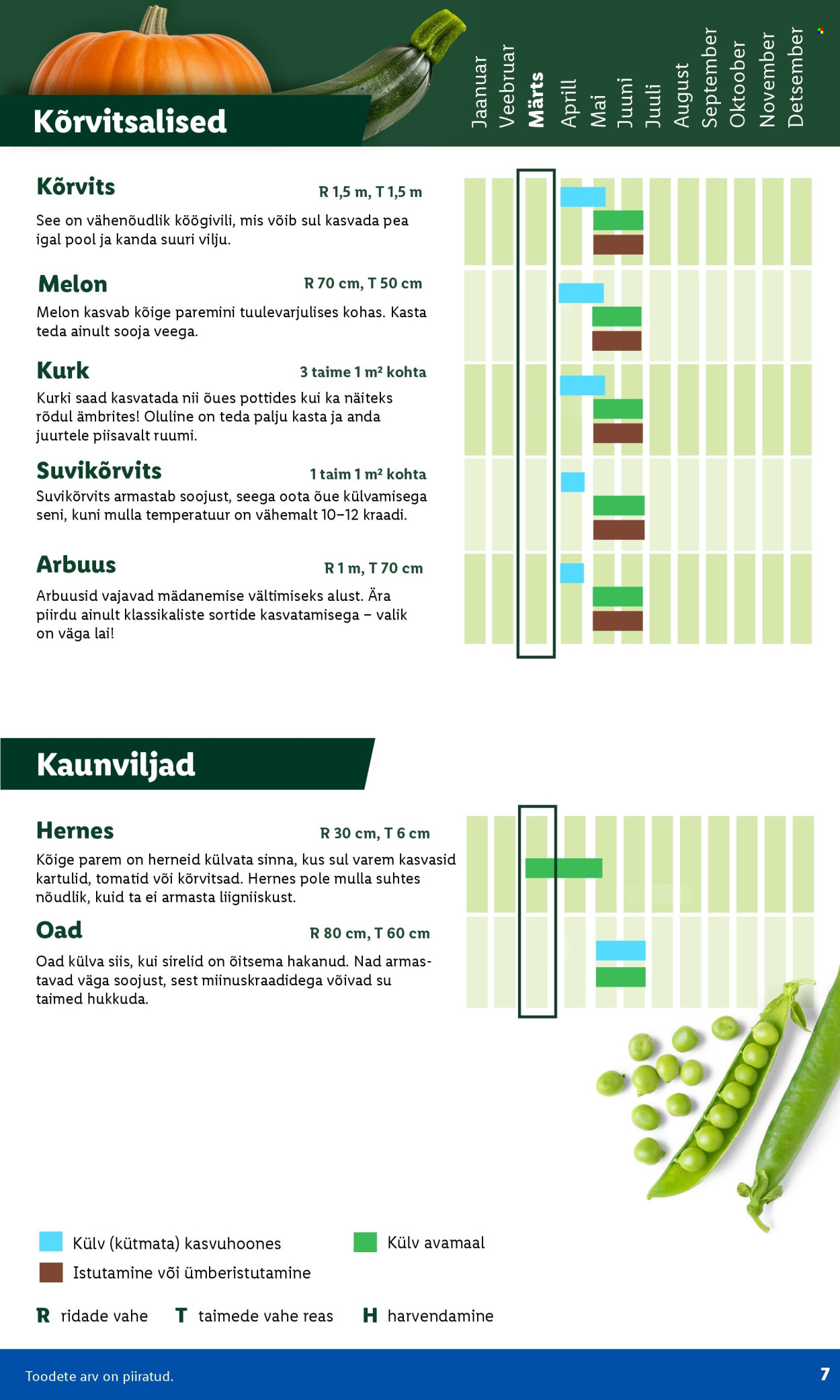 lidl - Lidl kliendileht - Aiakataloog - page: 7