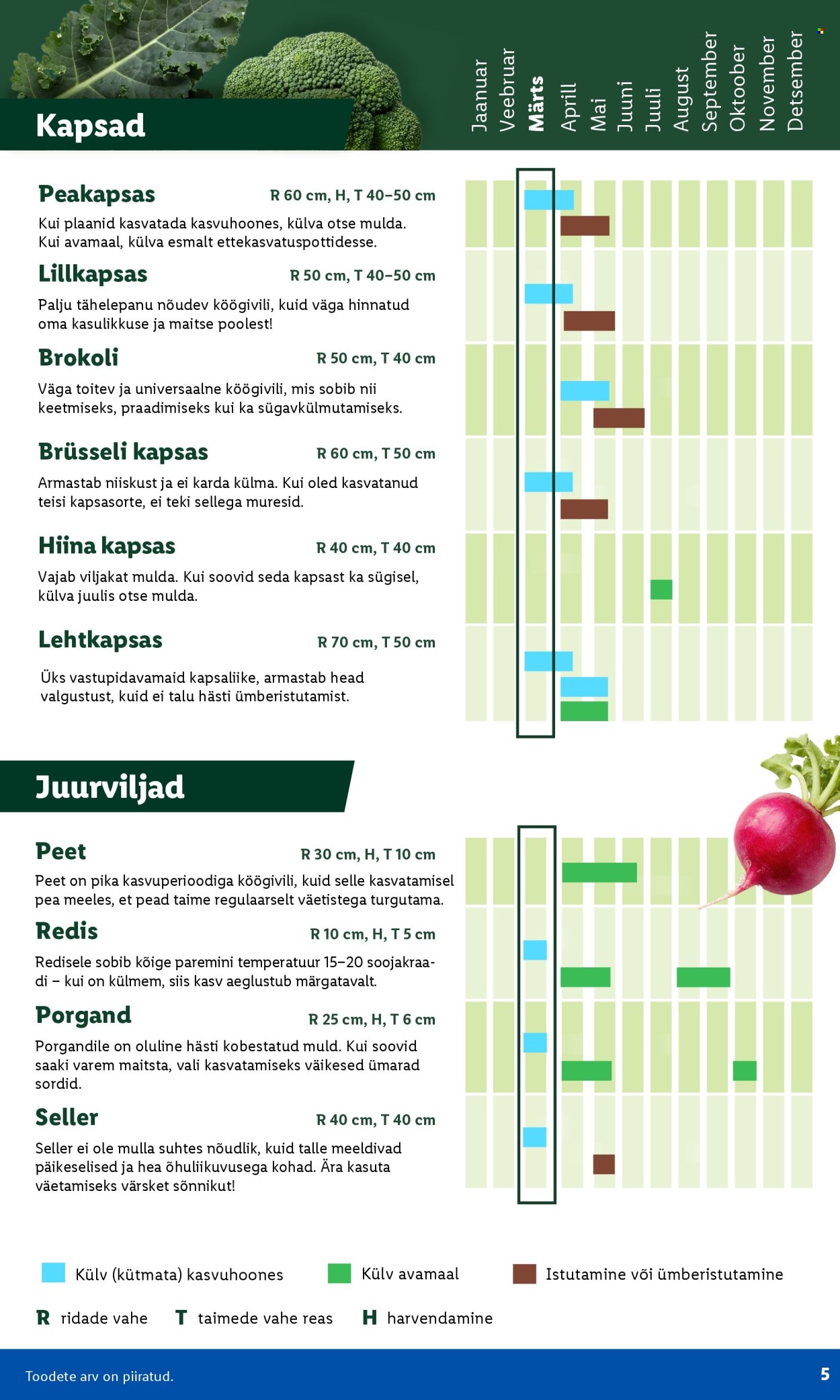 lidl - Lidl kliendileht - Aiakataloog - page: 5