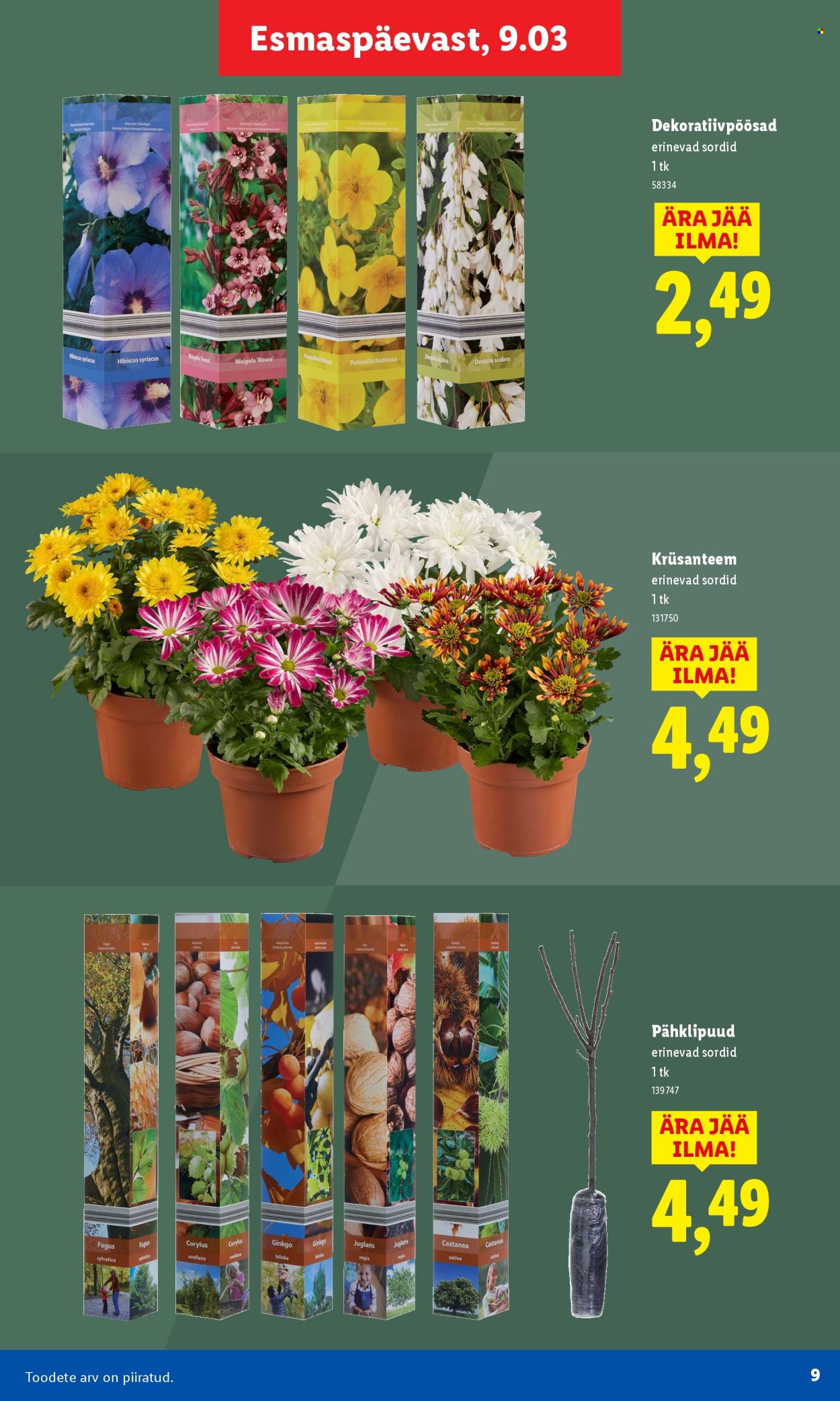 lidl - Lidl kliendileht - Aiakataloog - page: 9