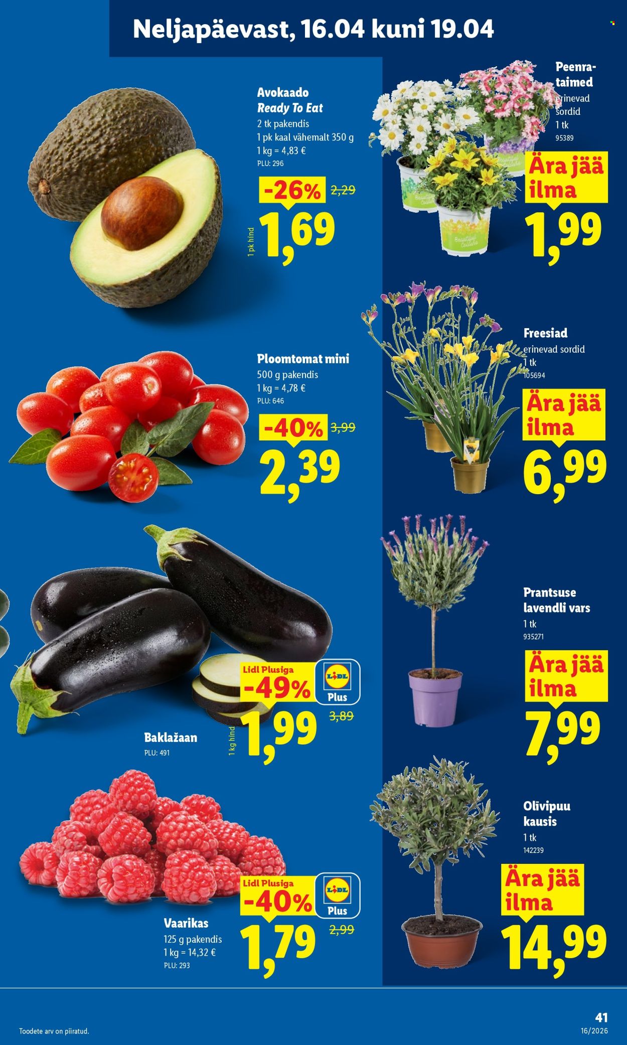 lidl - Lidl kliendileht - Kliendileht (13.04 - 19.04.2026) - page: 41