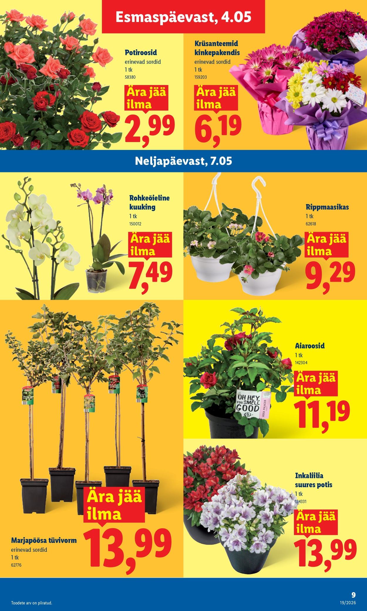 lidl - Lidl kliendileht - Kliendileht (4.05 - 10.05.2026) - page: 9