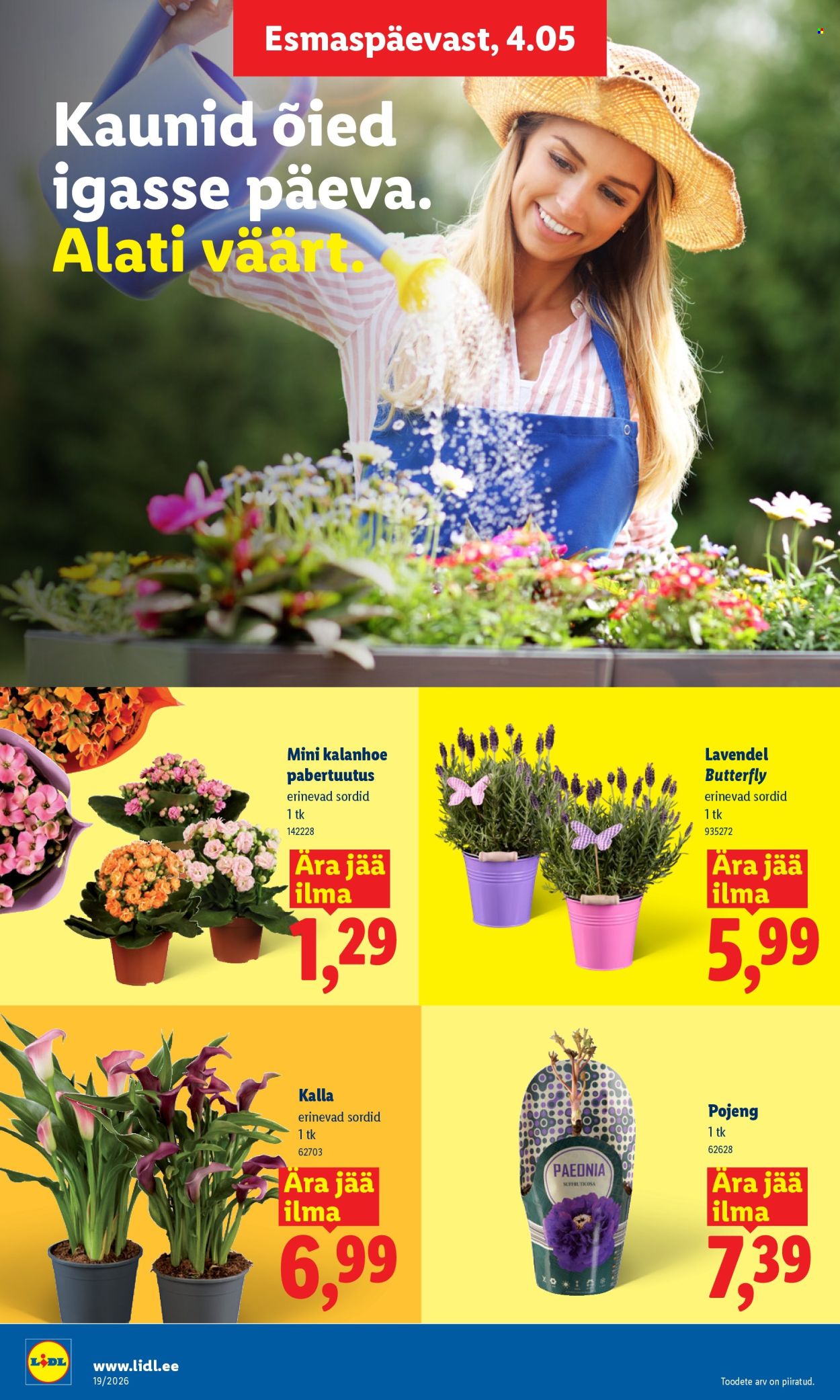 lidl - Lidl kliendileht - Kliendileht (4.05 - 10.05.2026) - page: 8