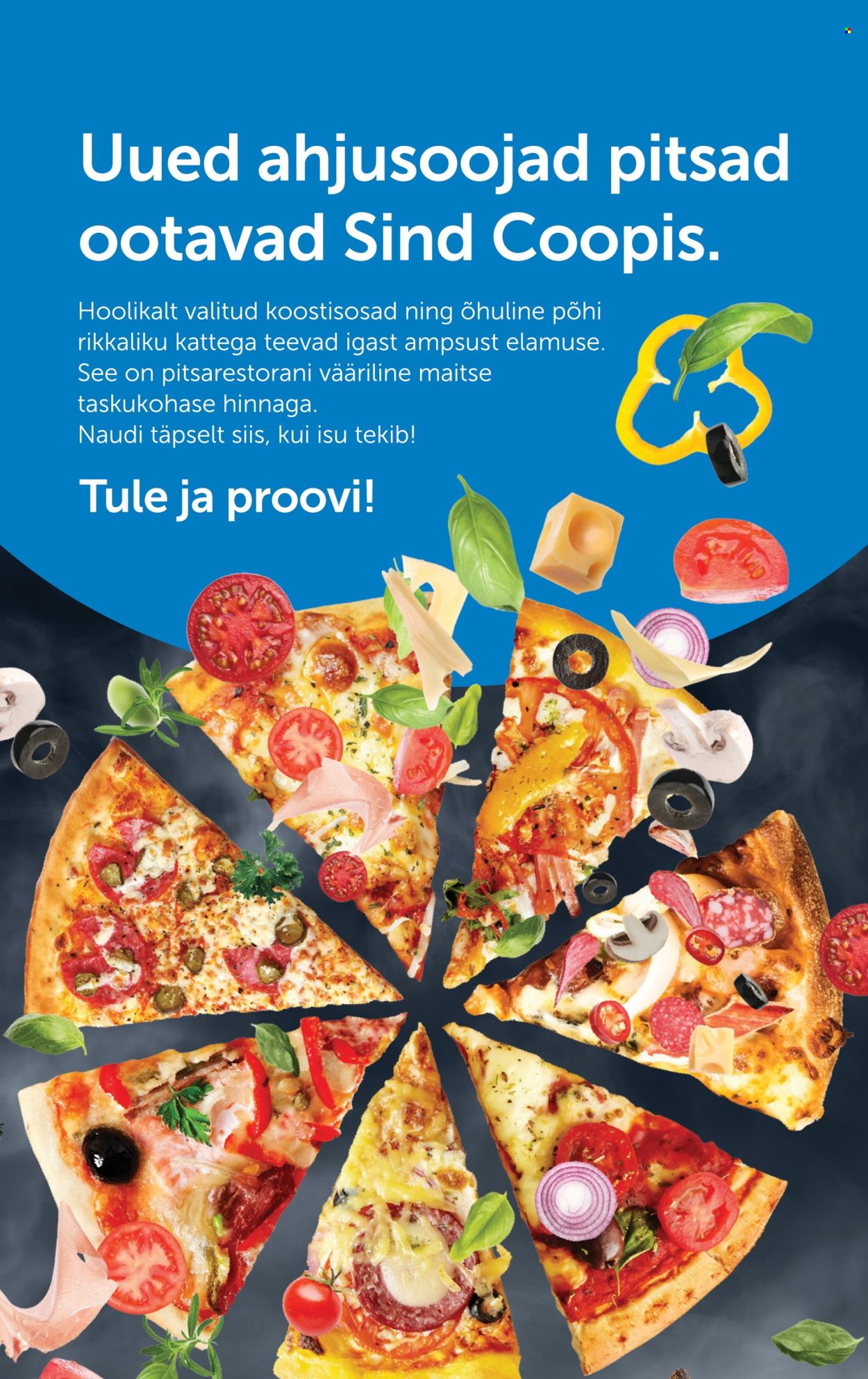 coop - Coop kliendileht (10.03 - 16.03.2026) - page: 11