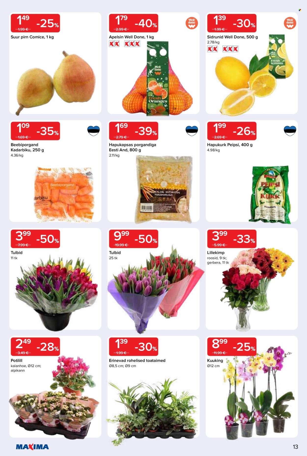 maxima - Maxima kliendileht - Maxima kliendileht nr. 2 (6.01 - 12.01.2026) - page: 13