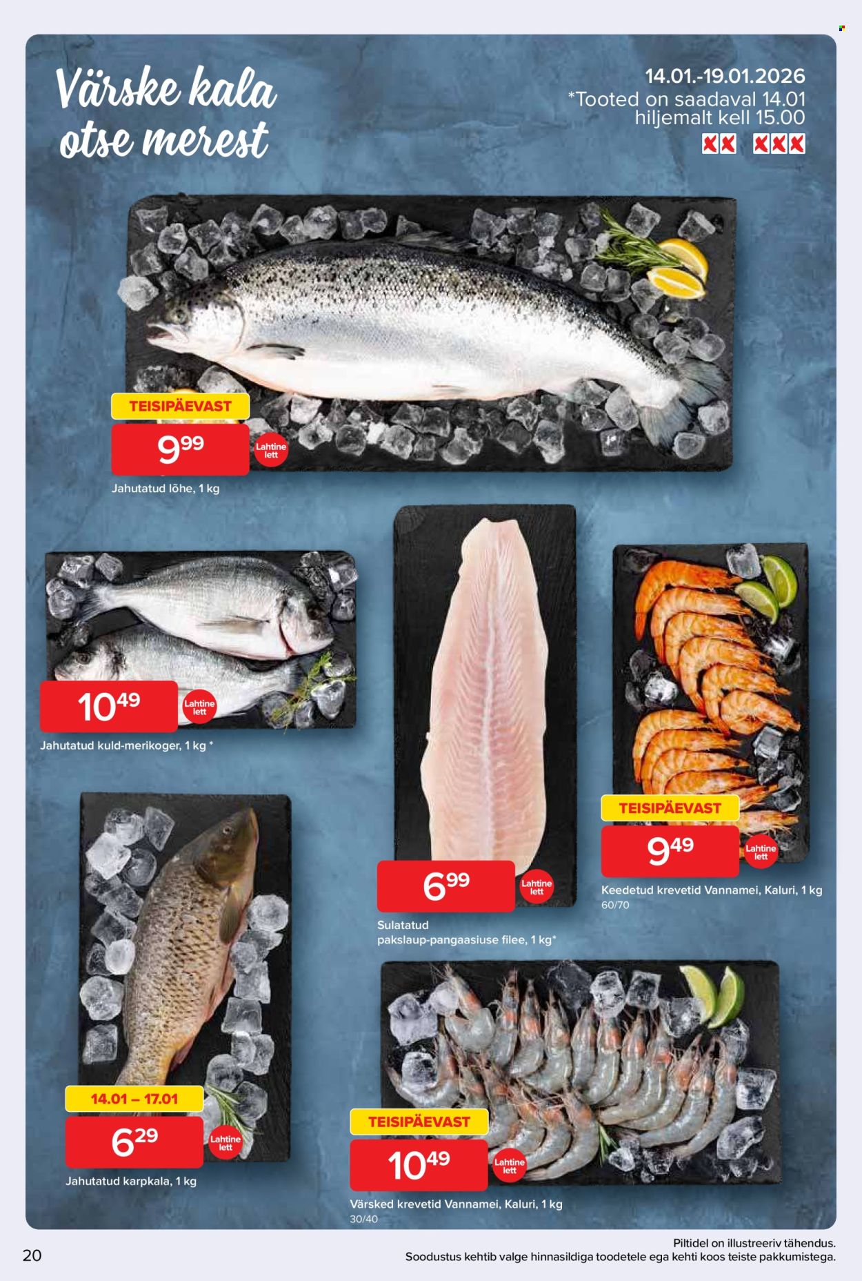 maxima - Maxima kliendileht - Maxima kliendileht 13.01-19.01 (13.01 - 19.01.2026) - page: 21