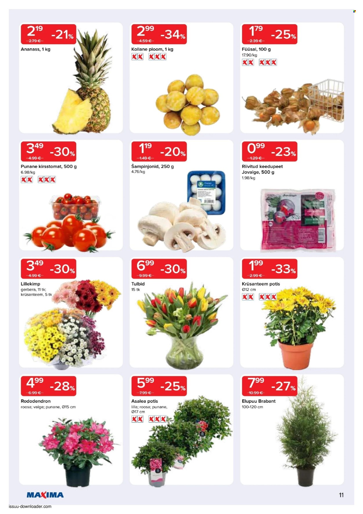 maxima - Maxima kliendileht - Maxima kliendileht (14.04 - 20.04.2026) - page: 11