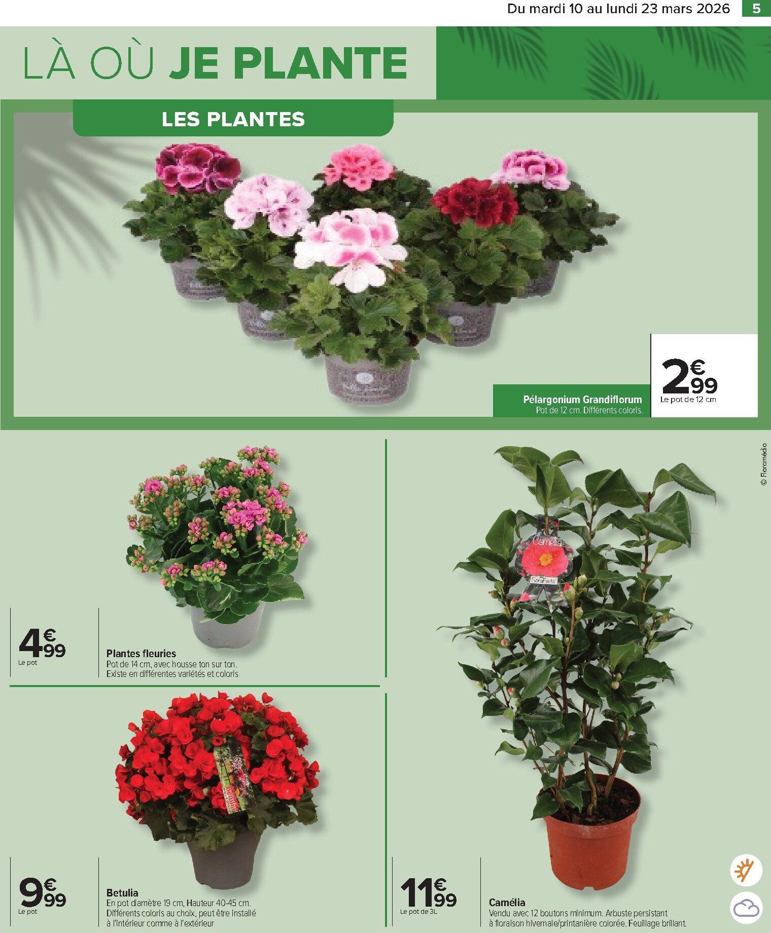 carrefour - Catalogue Carrefour - Jardin Là où La Vie Se Cultive valable du 10/03/2026 au 23/03/2026 - page: 5