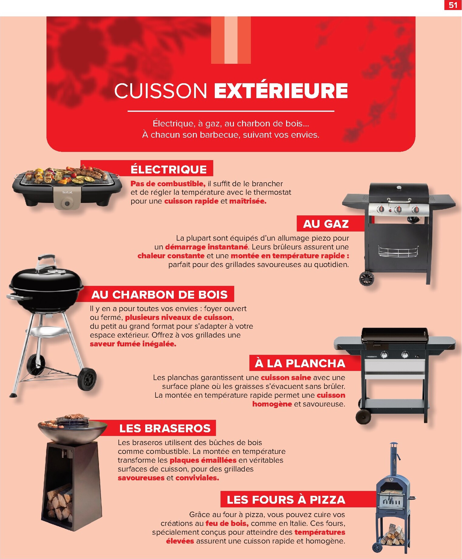 carrefour - Catalogue Carrefour - Jardin là où la Vie se Cultive valable du 24/03/2026 au 11/05/2026 - page: 51