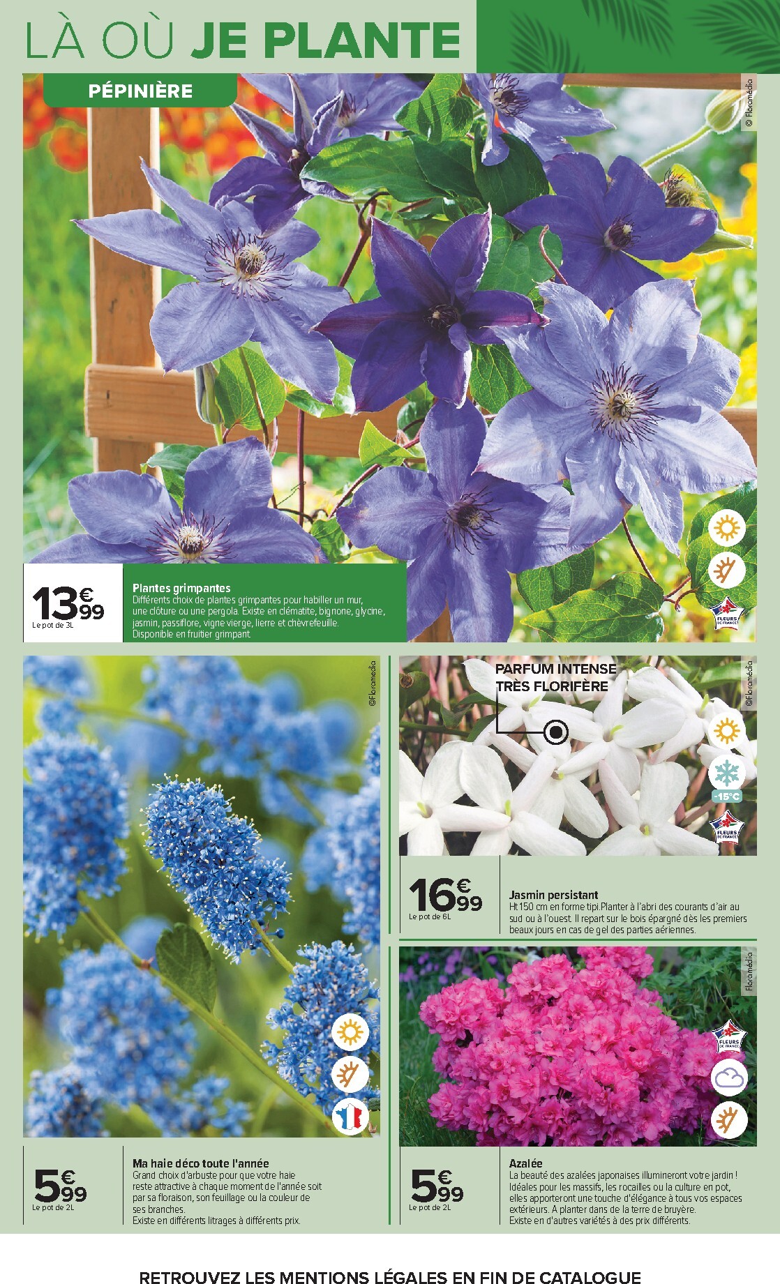 carrefour - Flyer Carrefour - Jardin Plantation et Mobilier pour la semaine prochaine du du mardi 14/04/2026 au du lundi 27/04/2026 - page: 6