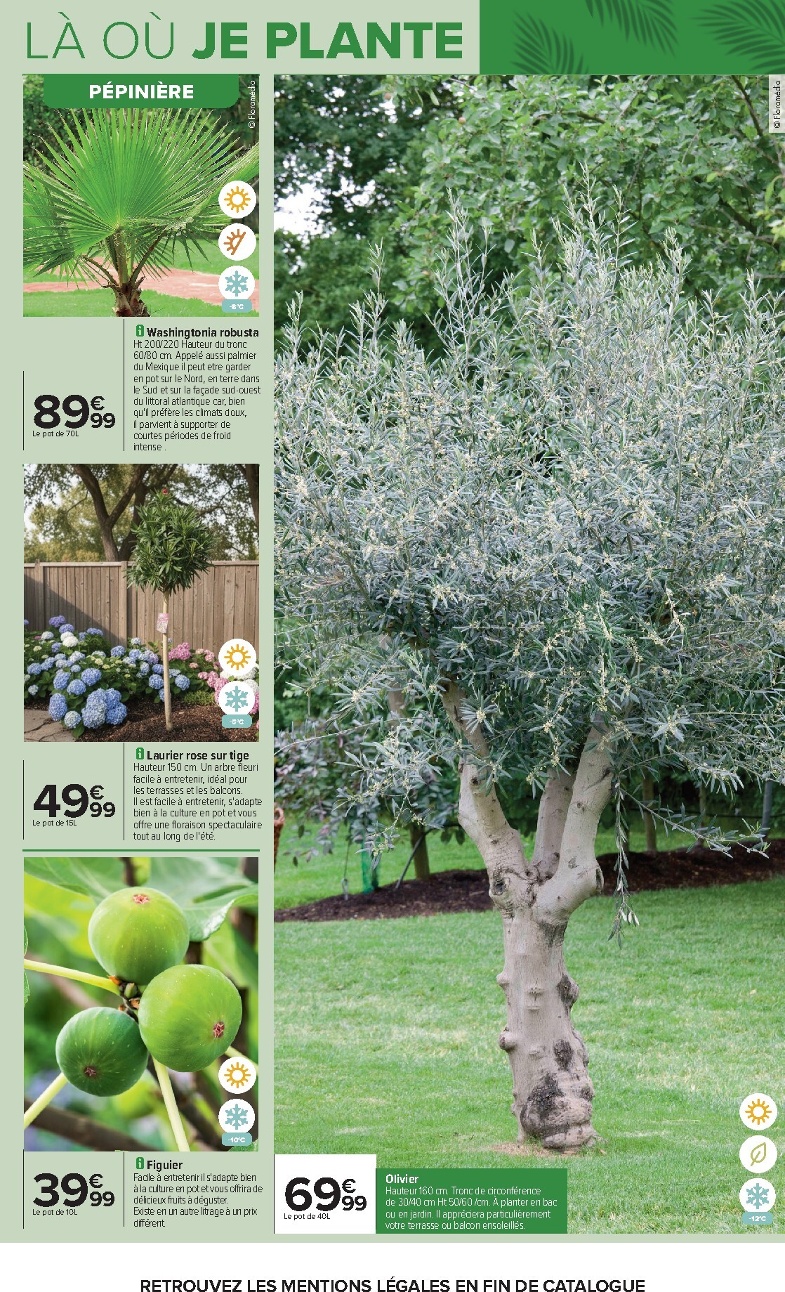 carrefour - Flyer Carrefour - Jardin Plantation et Mobilier pour la semaine prochaine du du mardi 14/04/2026 au du lundi 27/04/2026 - page: 9