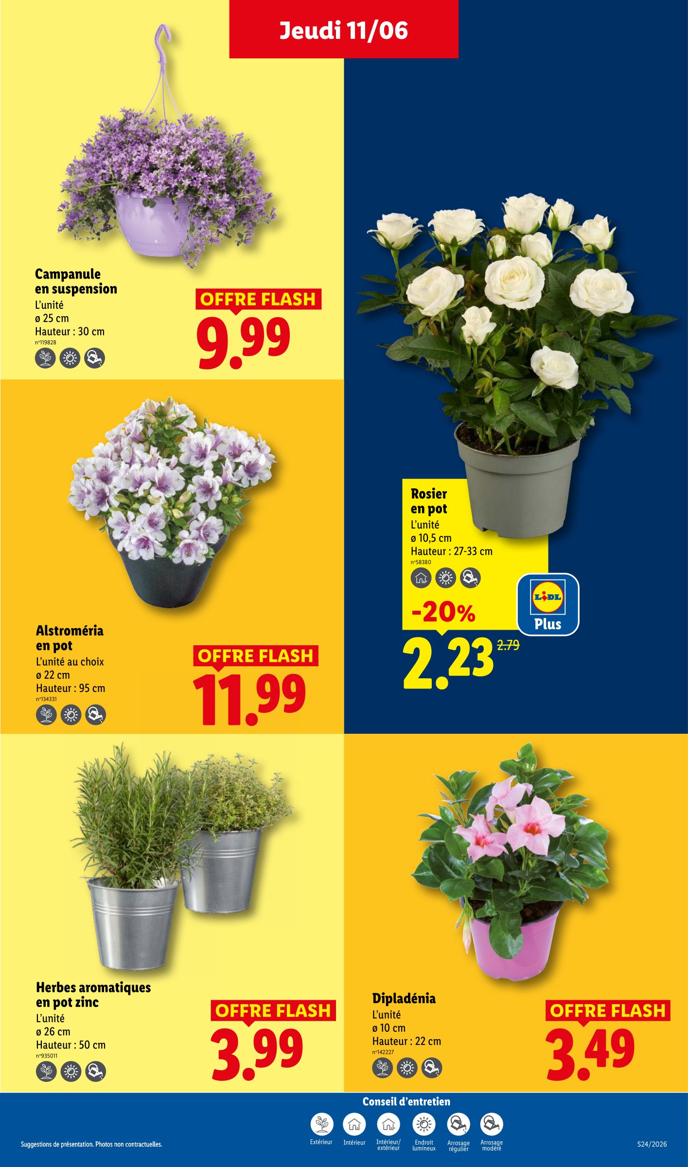 lidl - Flyer Lidl pour la semaine prochaine du de jeudi 11/06/2026 au du mercredi 17/06/2026 - page: 29