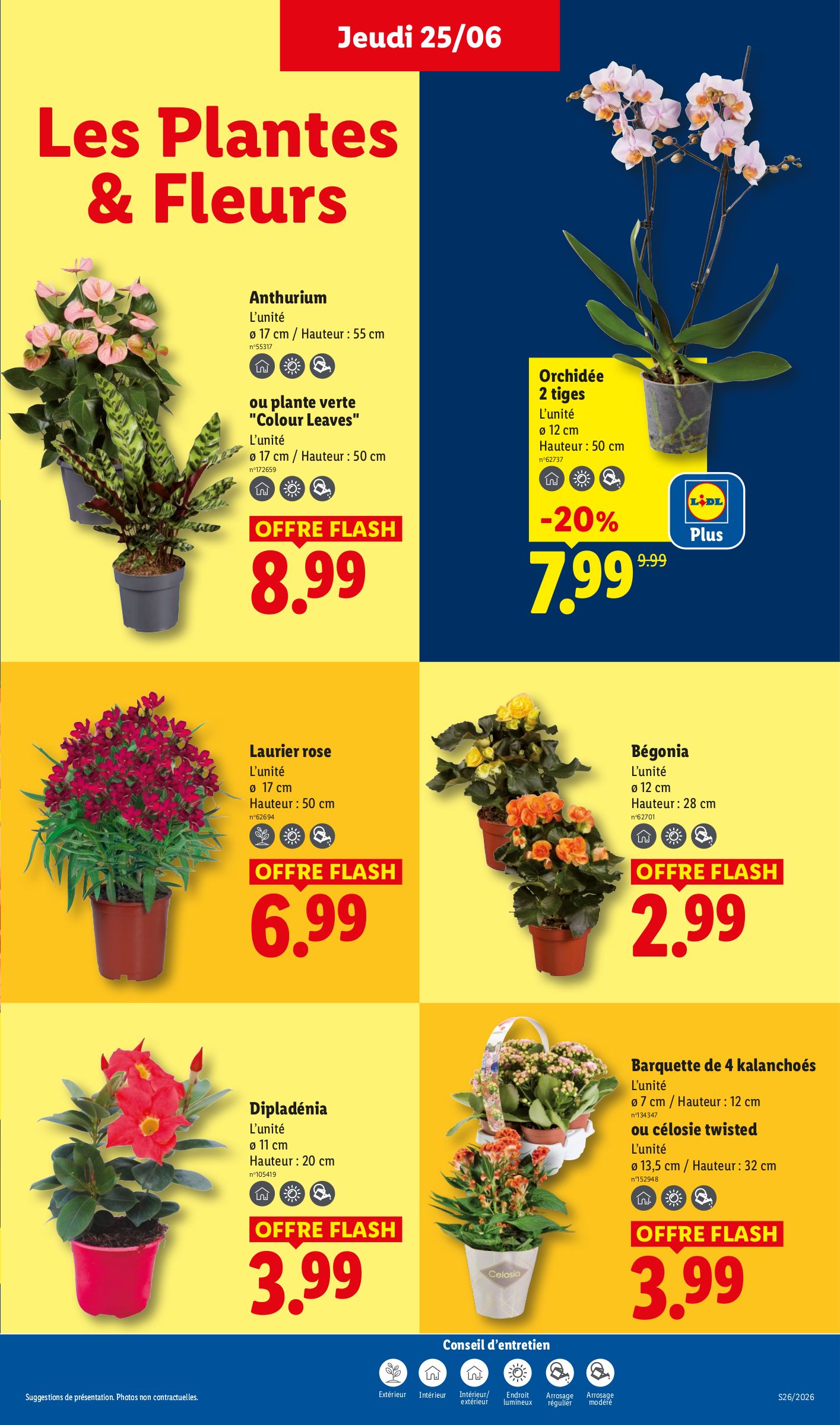 lidl - Flyer Lidl pour la semaine prochaine du de jeudi 25/06/2026 au du mercredi 01/07/2026 - page: 29