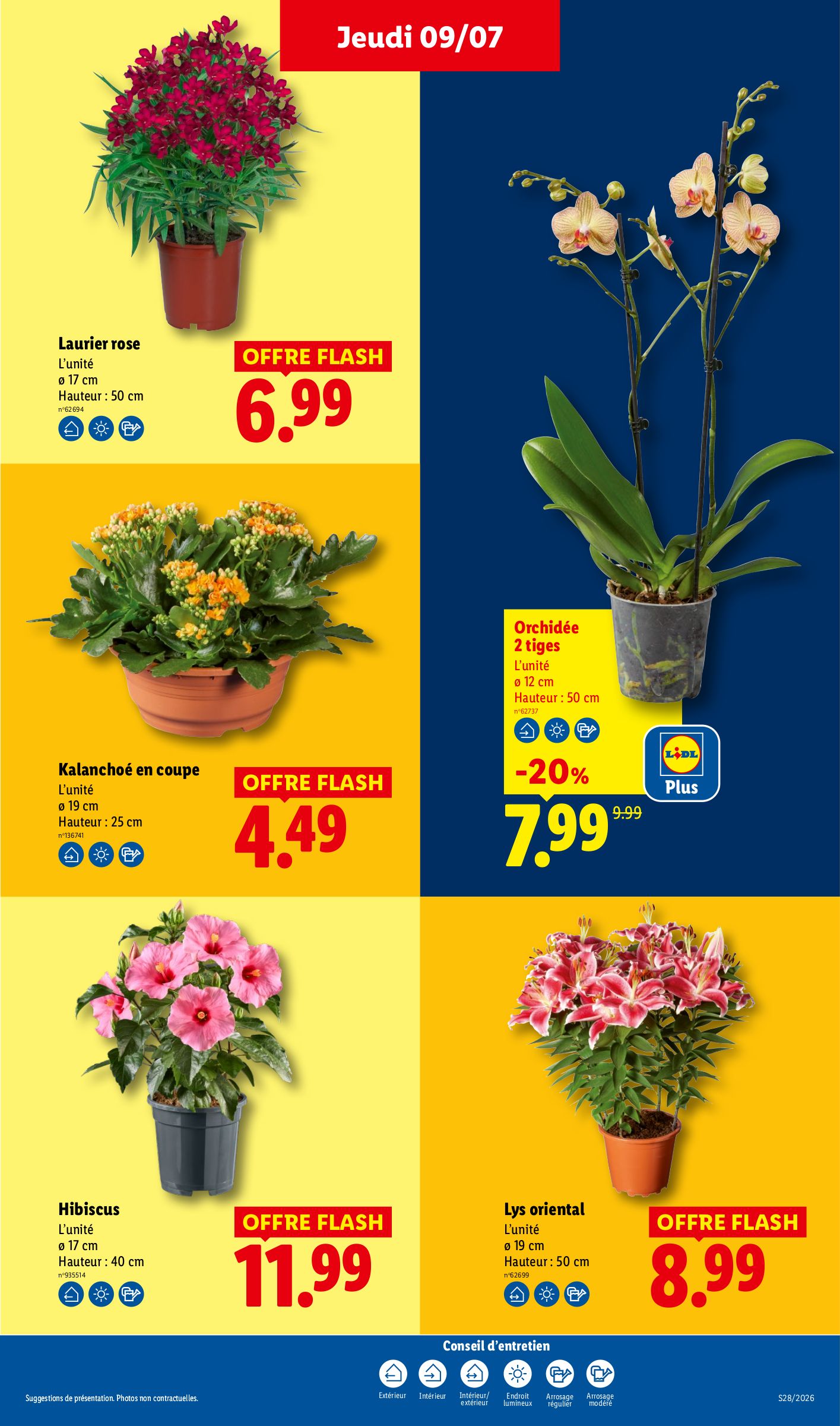 lidl - Flyer Lidl pour la semaine prochaine du de jeudi 09/07/2026 au du mercredi 15/07/2026 - page: 31