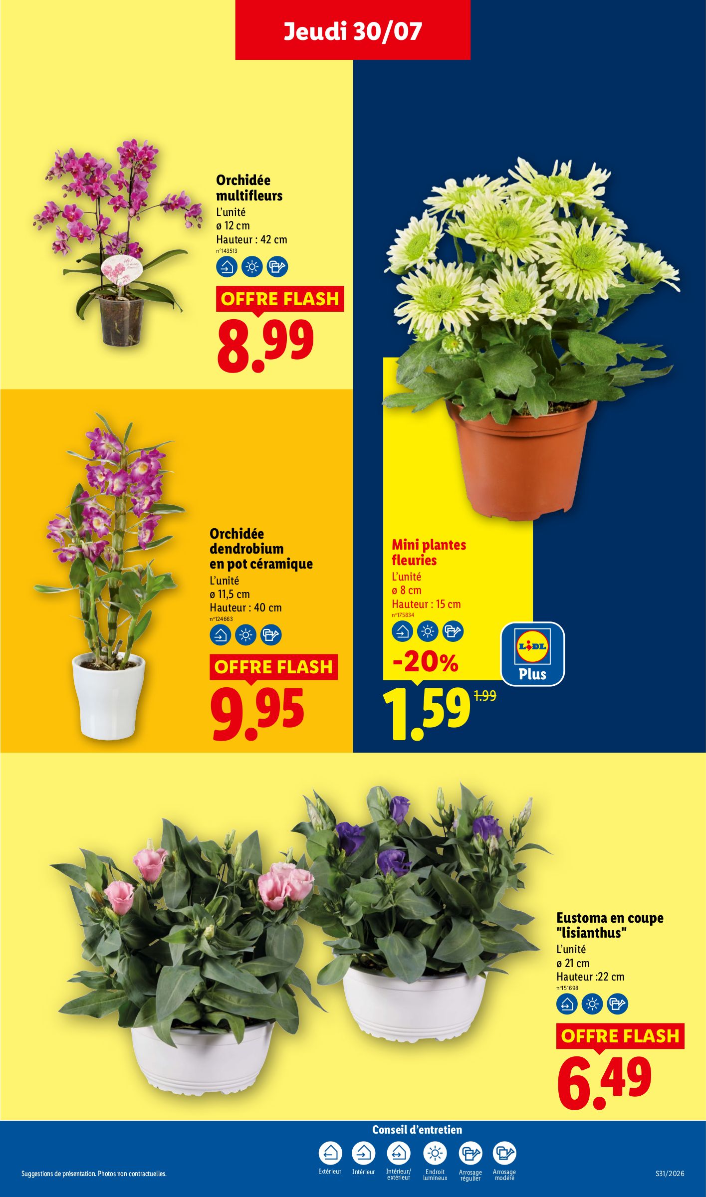 lidl - Flyer Lidl pour la semaine prochaine du de jeudi 30/07/2026 au du mercredi 05/08/2026 - page: 29