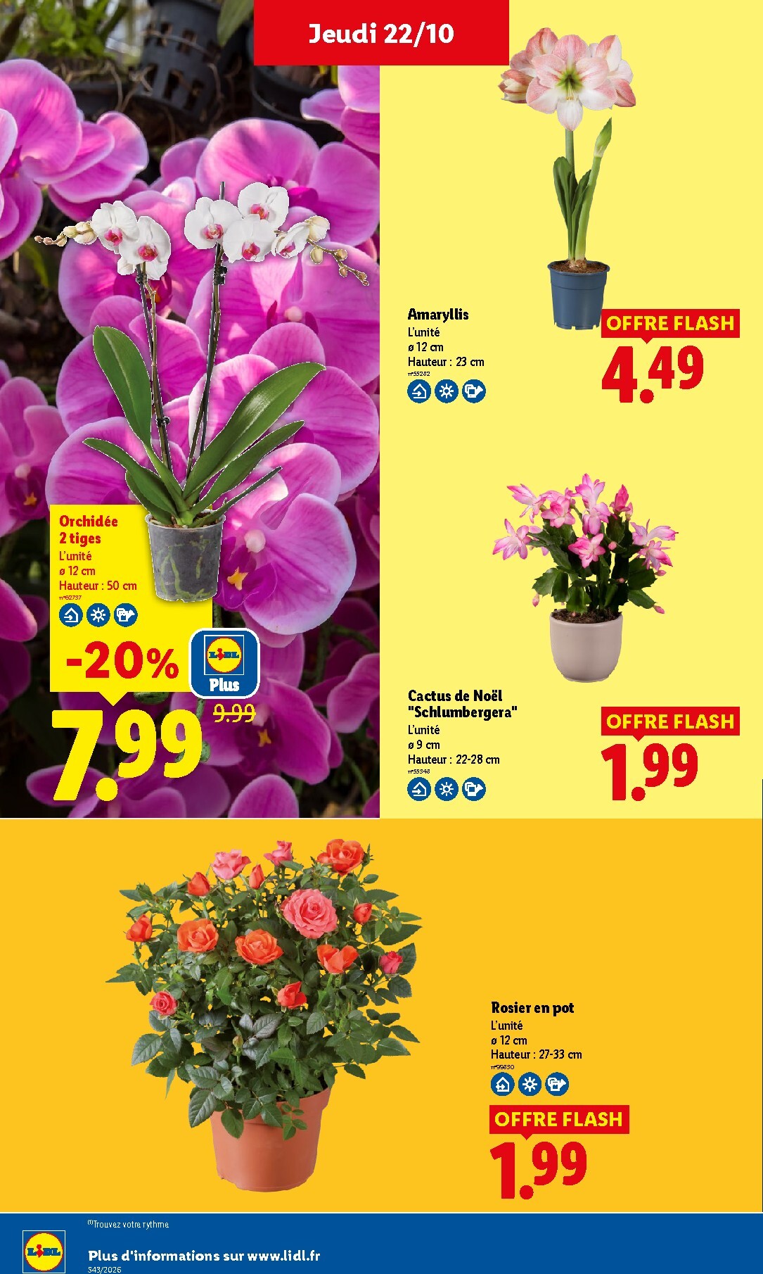 lidl - Flyer Lidl pour la semaine prochaine du de jeudi 22/10/2026 au du mercredi 28/10/2026 - page: 35