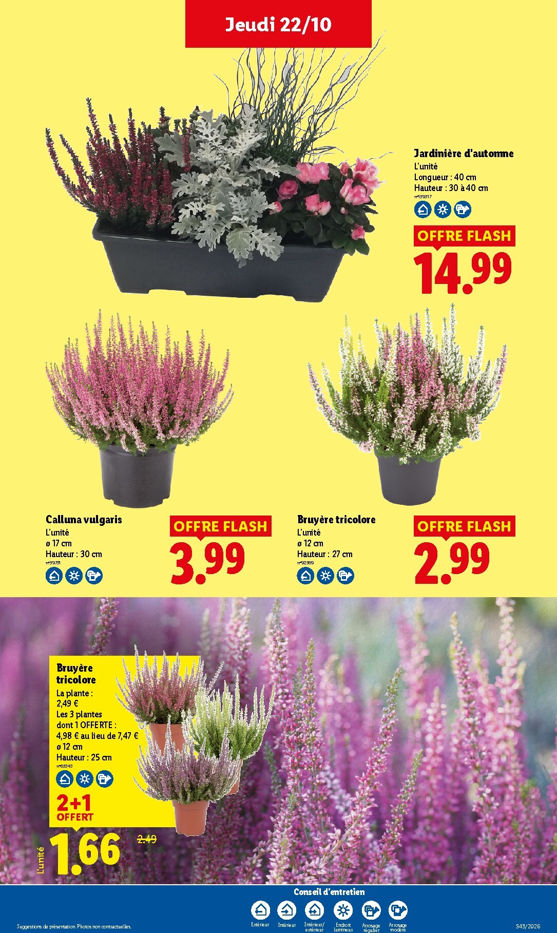 lidl - Flyer Lidl pour la semaine prochaine du de jeudi 22/10/2026 au du mercredi 28/10/2026 - page: 34