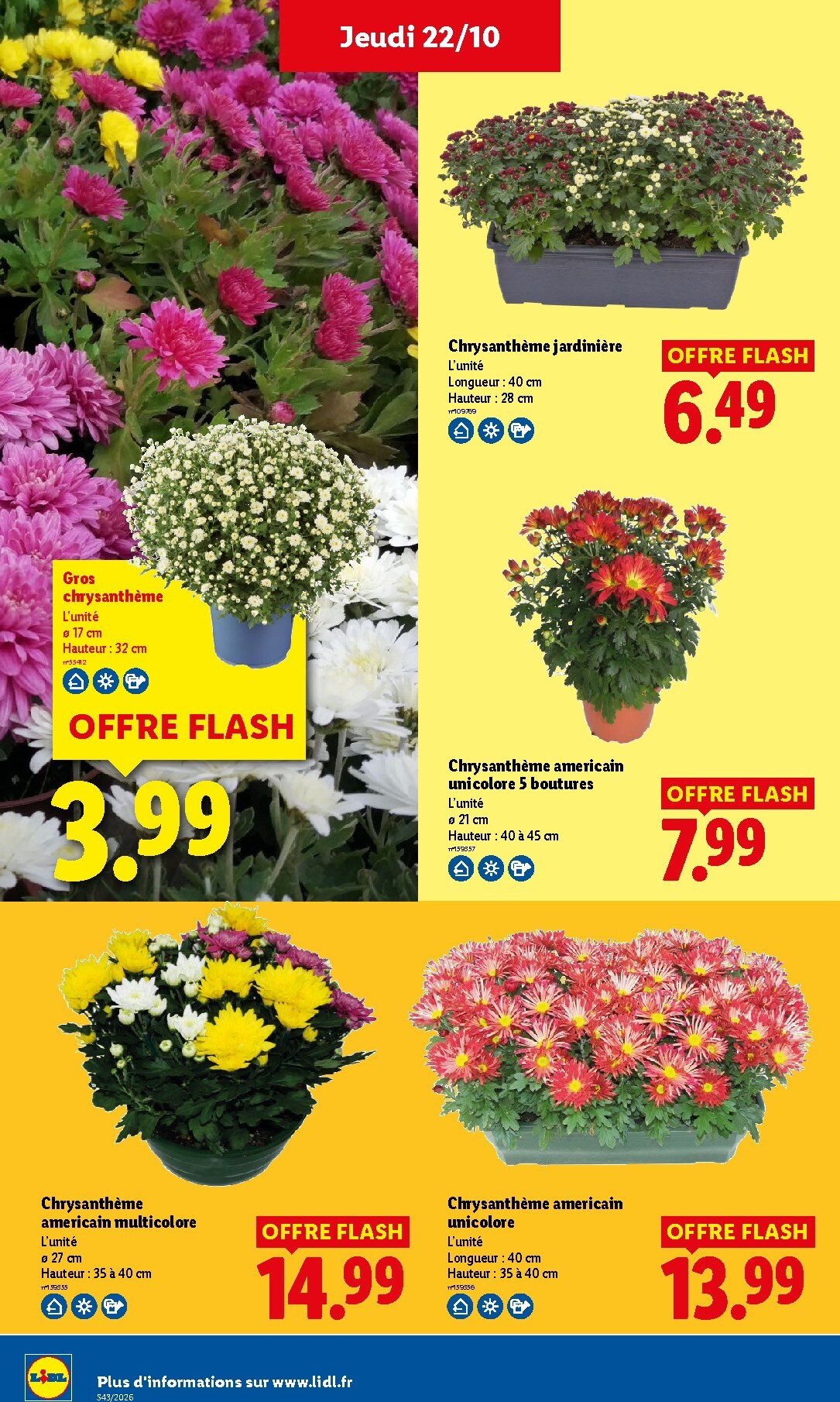 lidl - Prospectus Lidl valide du de jeudi 22/10/2026 au du mercredi 28/10/2026 - page: 33