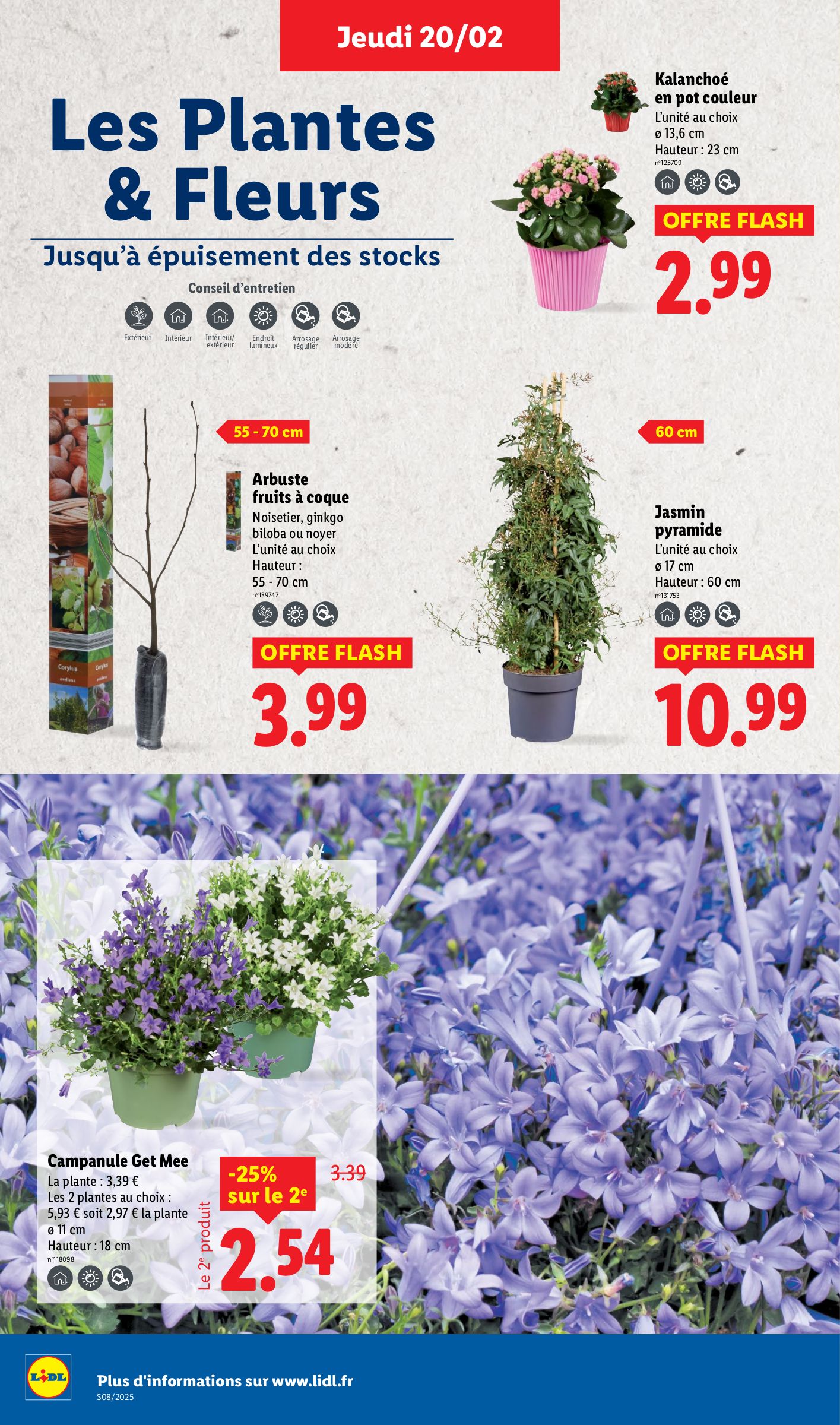 lidl - Catalogue Lidl valable dès 20/02 - 26/02 - page: 34 lidl - Catalogue Lidl valable dès 20/02 - 26/02 - page: 34