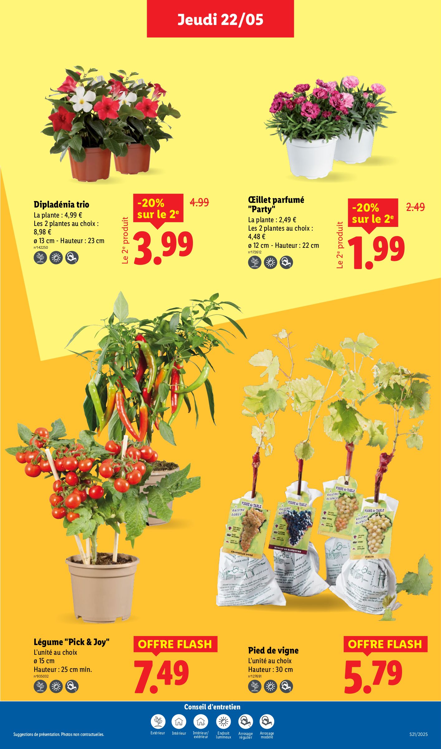 lidl - Catalogue Lidl valable dès 22/05 - 28/05 - page: 33