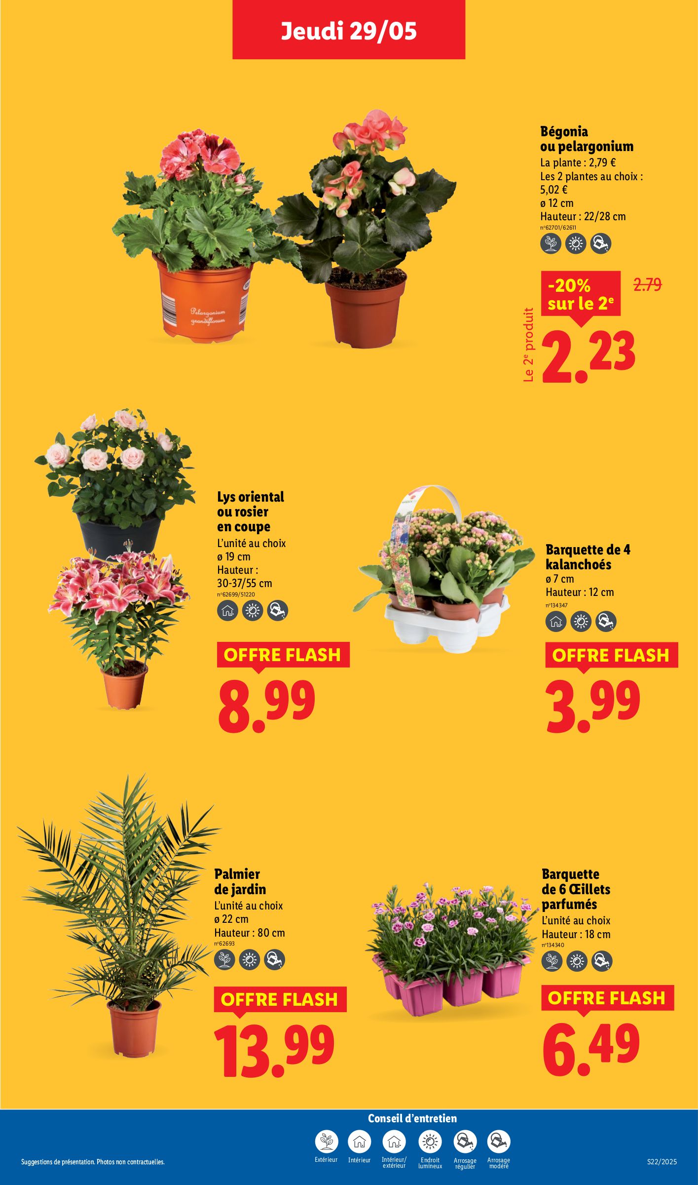 lidl - Catalogue Lidl valable dès 29/05 - 04/06 - page: 33