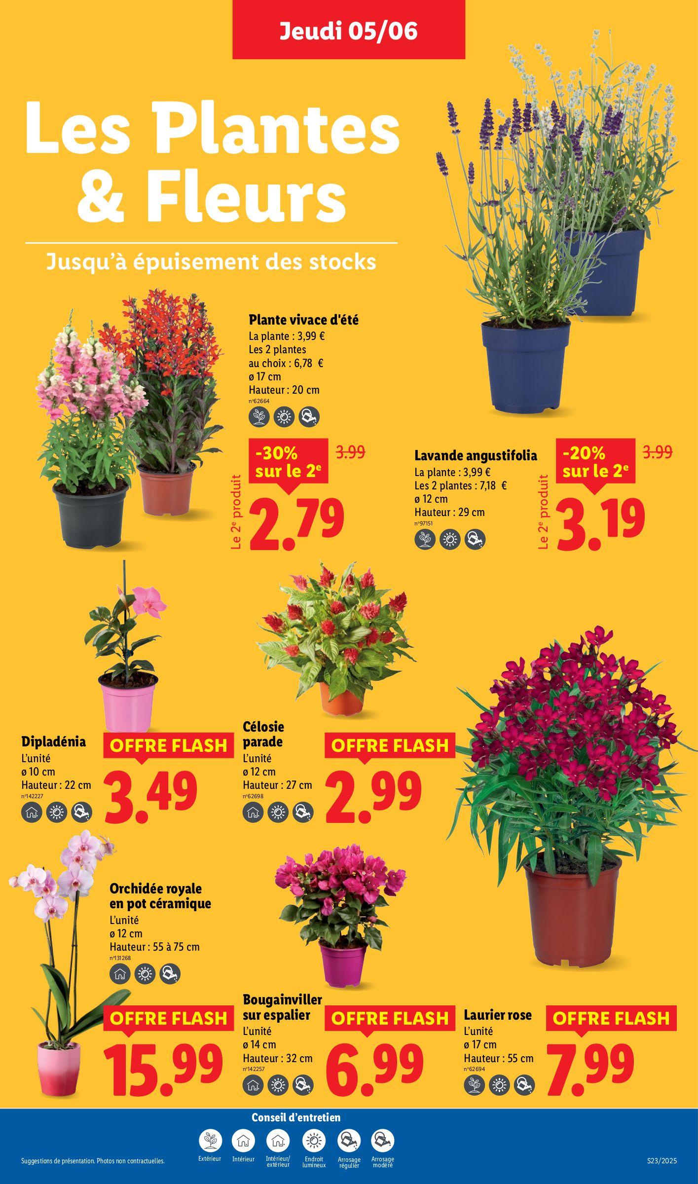 lidl - Catalogue Lidl - Les promos de la semaine valable dès 05/06 - 11/06 - page: 29