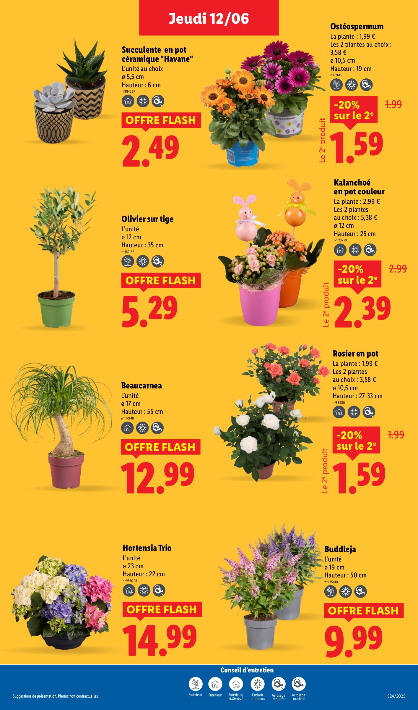 lidl - Catalogue Lidl valable du 12/06 au 18/06 - page: 28 lidl - Catalogue Lidl valable du 12/06 au 18/06 - page: 28