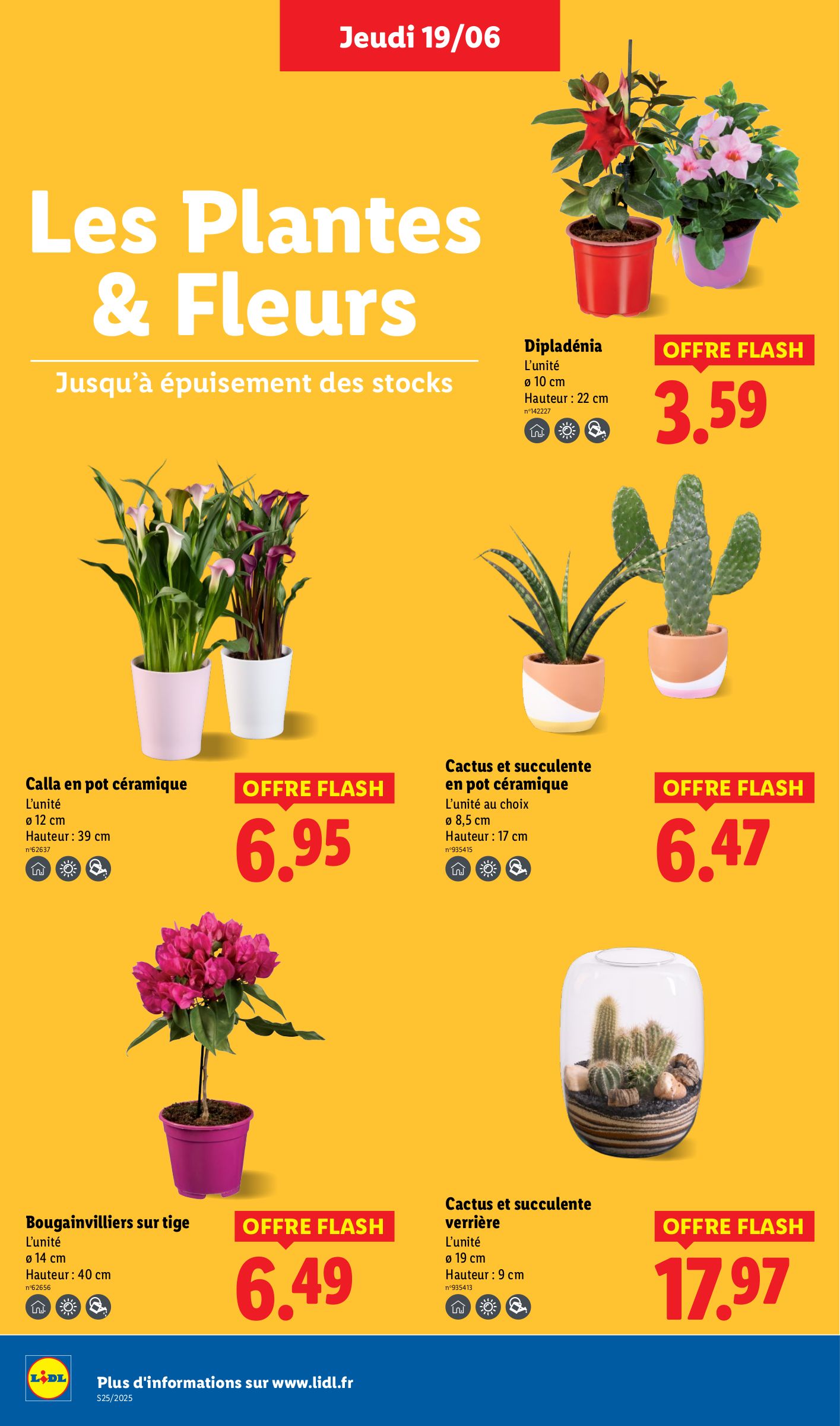 lidl - Catalogue Lidl valable du 19/06 au 25/06 - page: 28