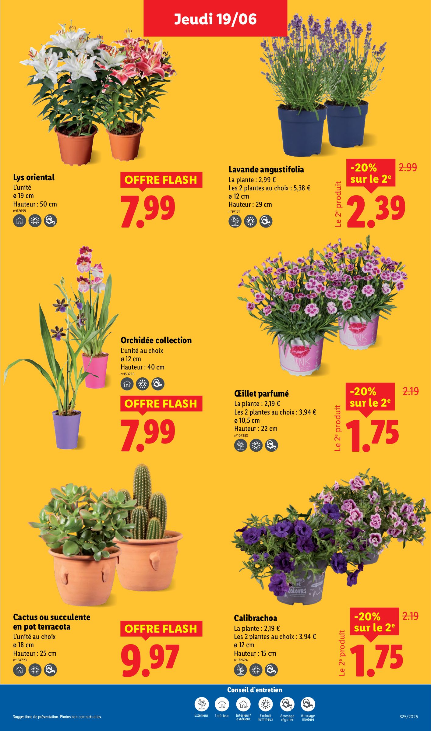 lidl - Catalogue Lidl valable du 19/06 au 25/06 - page: 29