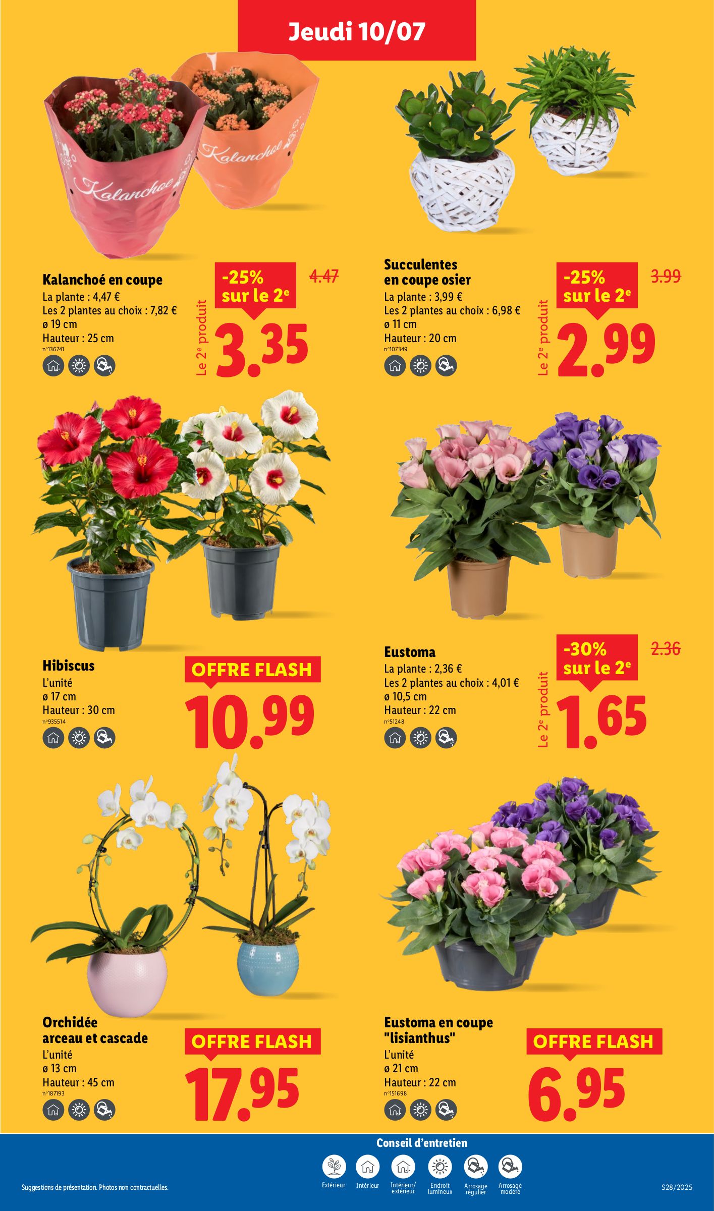 lidl - Catalogue Lidl valable du 10/07 au 16/07 - page: 29 lidl - Catalogue Lidl valable du 10/07 au 16/07 - page: 29