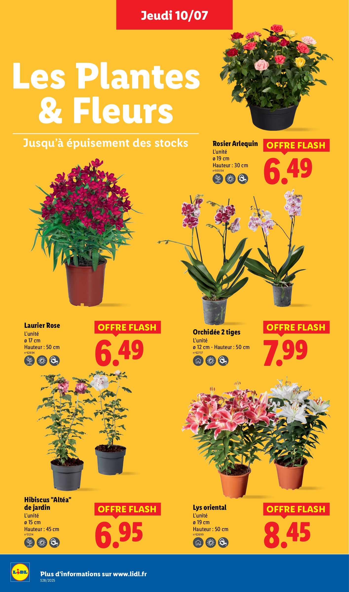 lidl - Catalogue Lidl valable du 10/07 au 16/07 - page: 28 lidl - Catalogue Lidl valable du 10/07 au 16/07 - page: 28