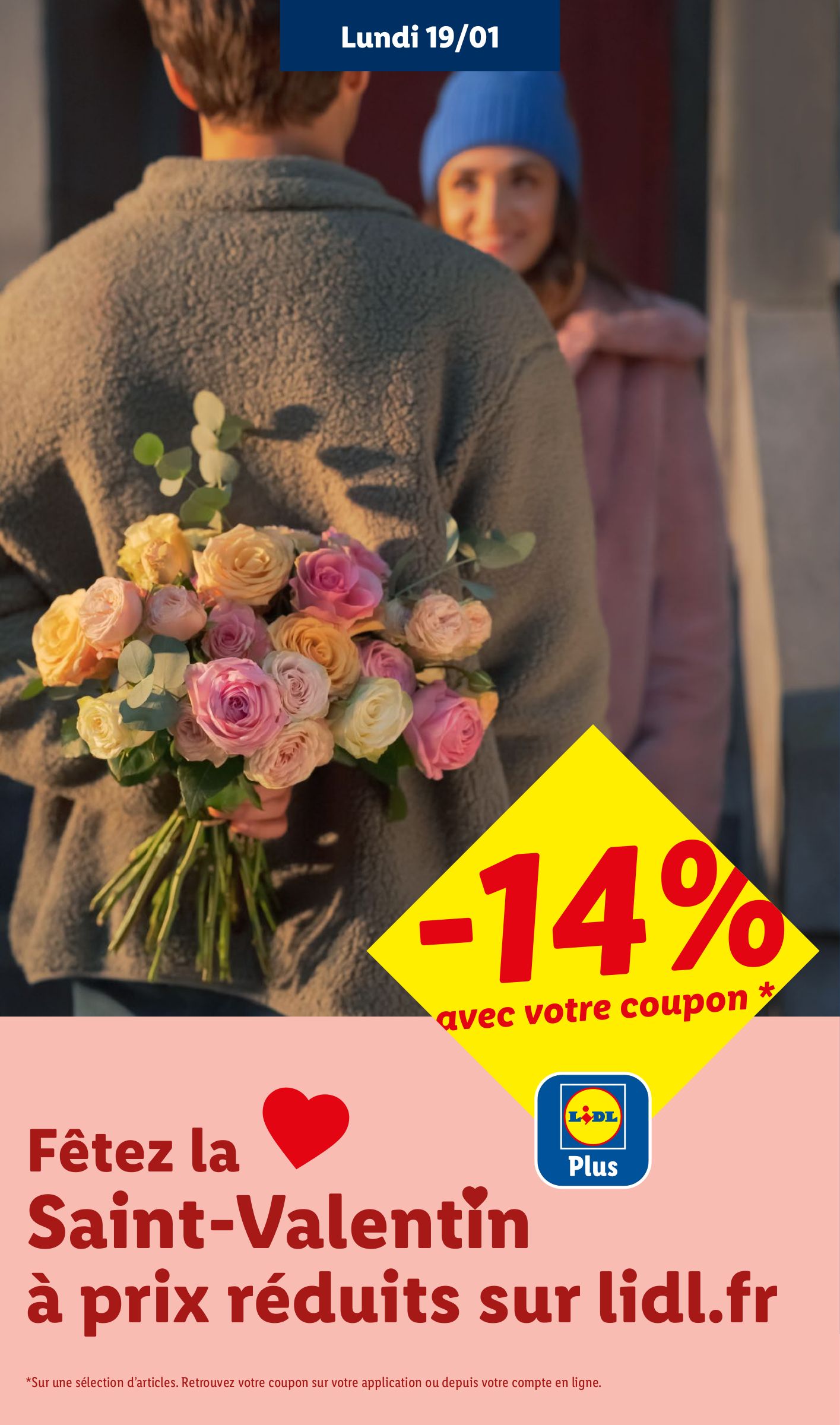 lidl - Catalogue Lidl - Les bonnes affaires Exclu Web valable du 19/01 au 22/01 - page: 5