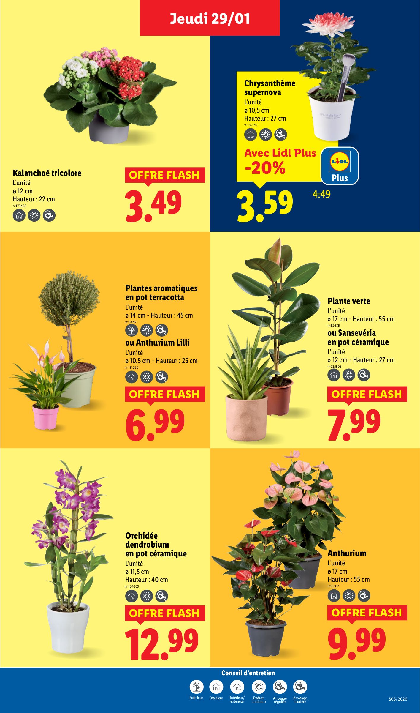 lidl - Catalogue Lidl - Les promos de la semaine valable du 29/01 au 04/02 - page: 29