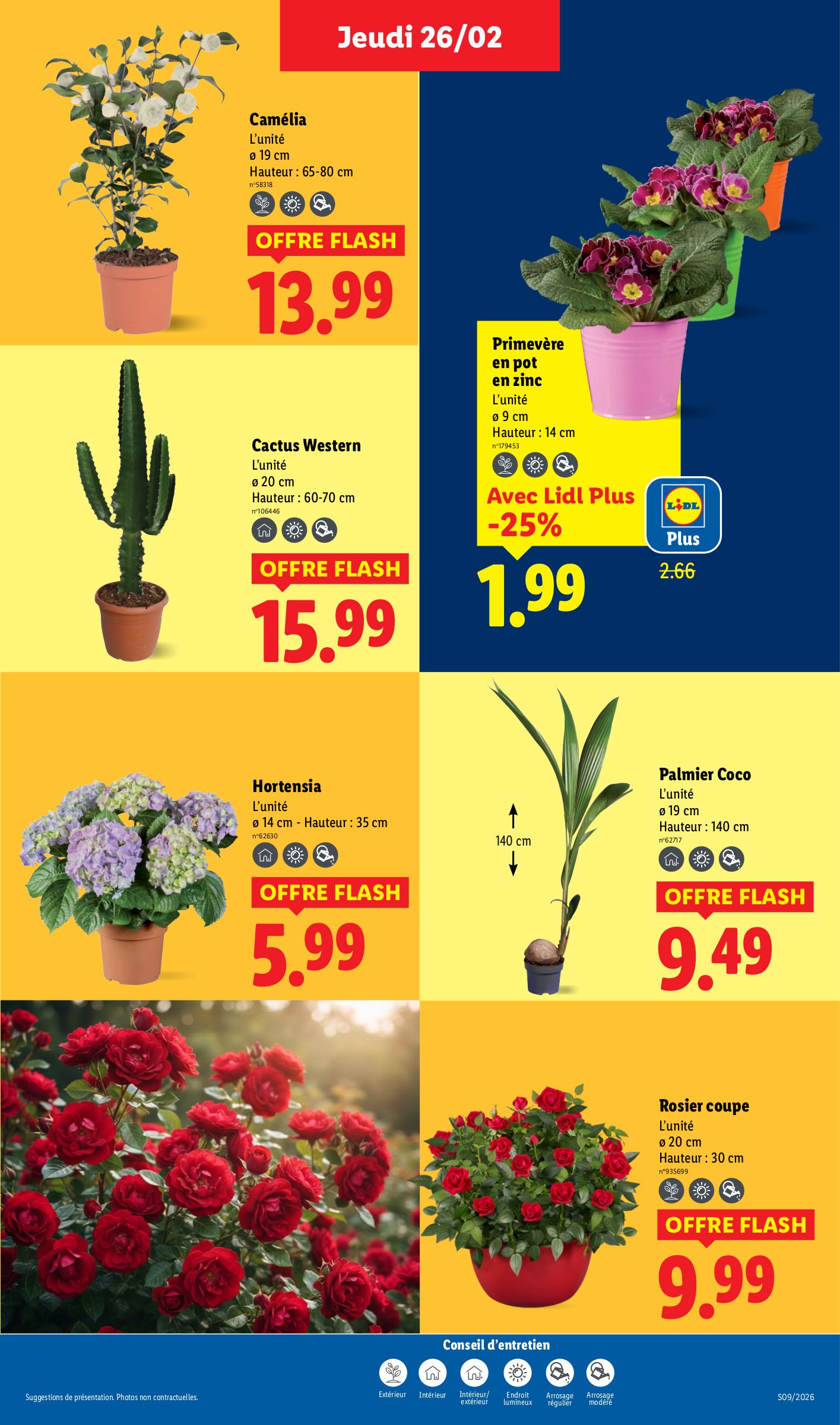 lidl - Catalogue Lidl valable du 26/02/2026 au 04/03/2026 - page: 29