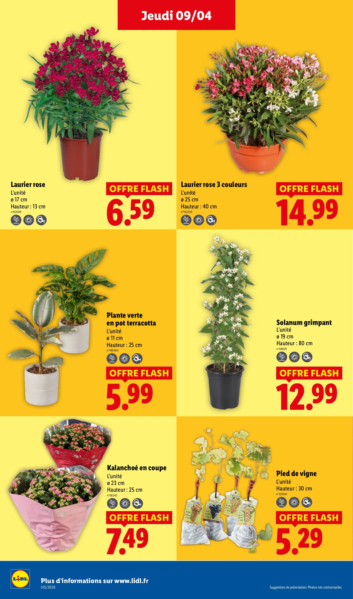 lidl - Catalogue Lidl valable du 09/04/2026 au 15/04/2026 - page: 26