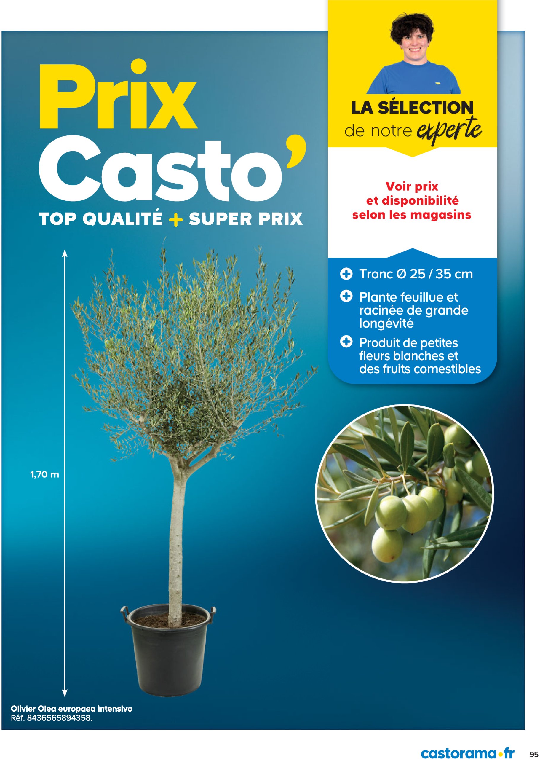 castorama - Catalogue Castorama - Jardin valable dès 25/02 - 31/12 - page: 95 castorama - Catalogue Castorama - Jardin valable dès 25/02 - 31/12 - page: 95