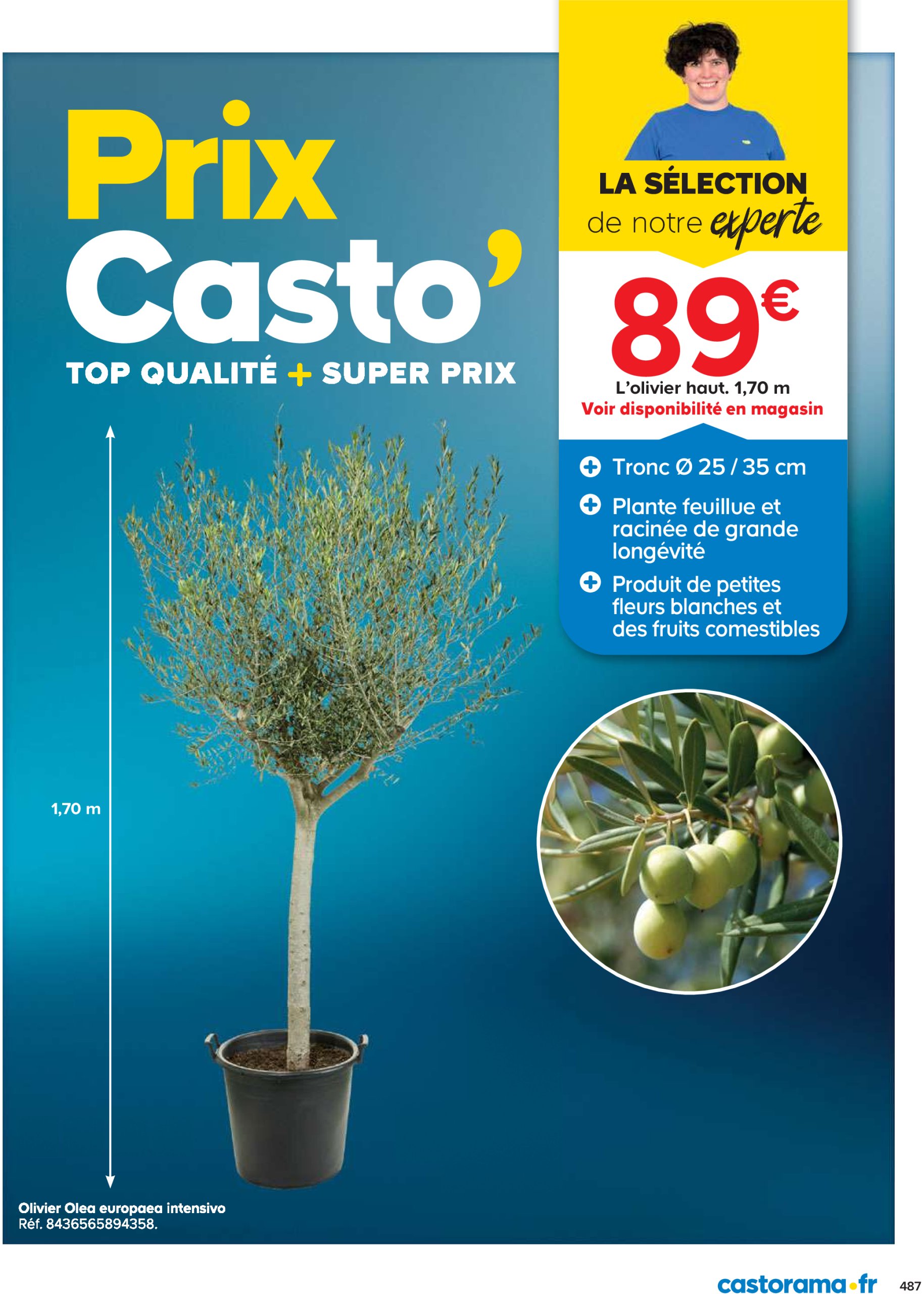 castorama - Catalogue Castorama valable dès 01/05 - 31/12 - page: 487 castorama - Catalogue Castorama valable dès 01/05 - 31/12 - page: 487
